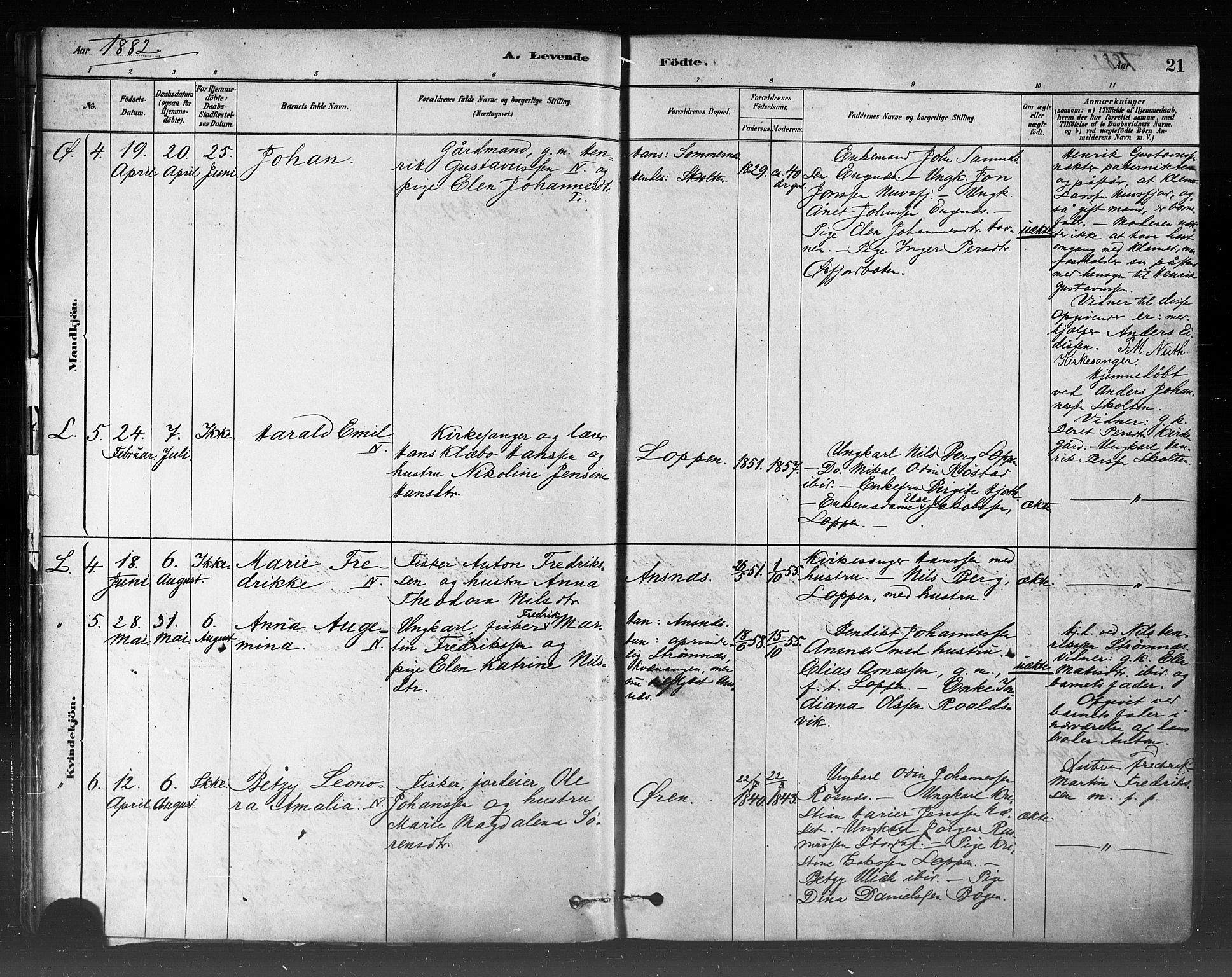 Loppa sokneprestkontor, SATØ/S-1339/H/Ha/L0006kirke: Parish register (official) no. 6, 1879-1895, p. 21