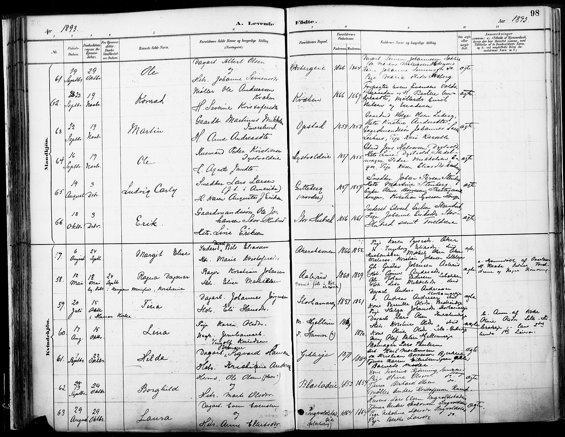 Vang prestekontor, Hedmark, AV/SAH-PREST-008/H/Ha/Haa/L0019A: Parish register (official) no. 19, 1886-1900, p. 98