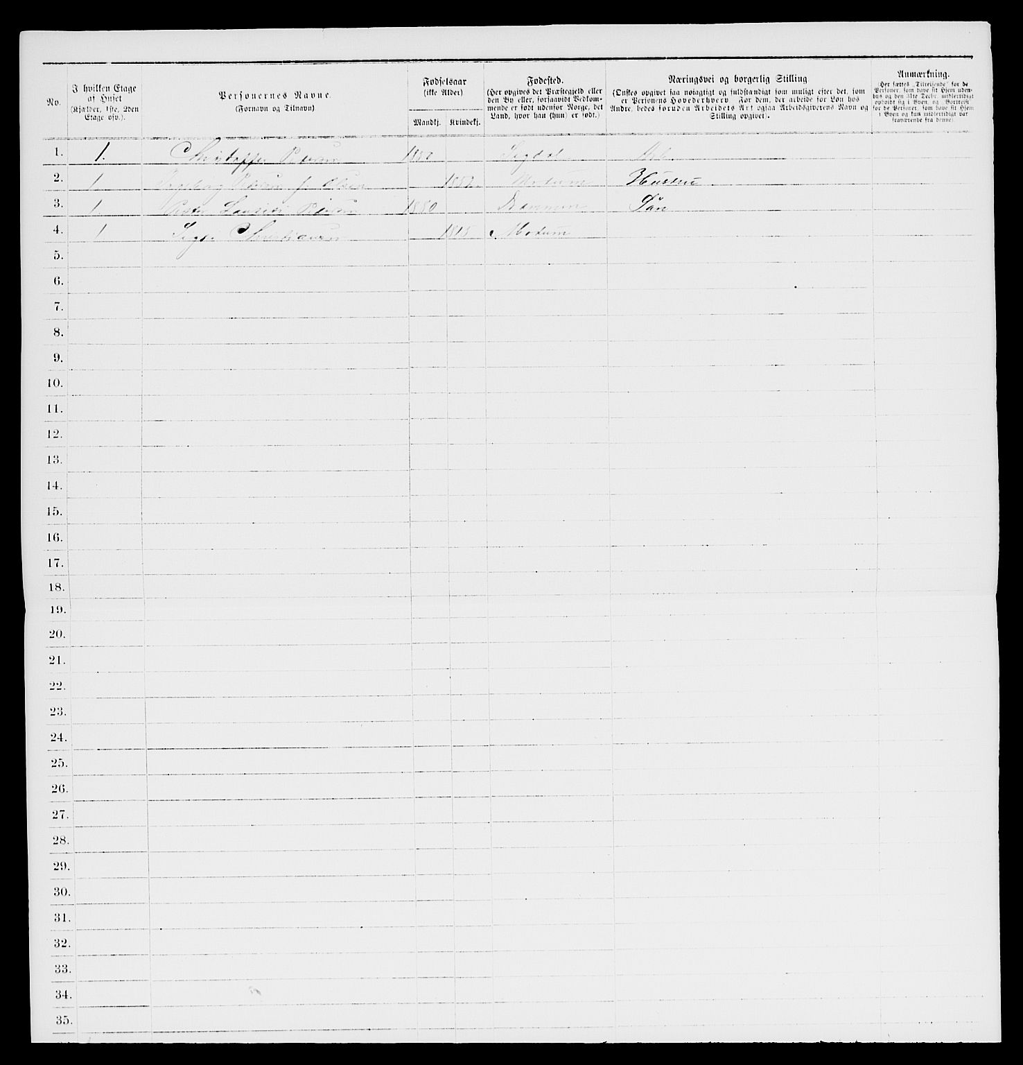 SAKO, 1885 census for 0602 Drammen, 1885, p. 1017