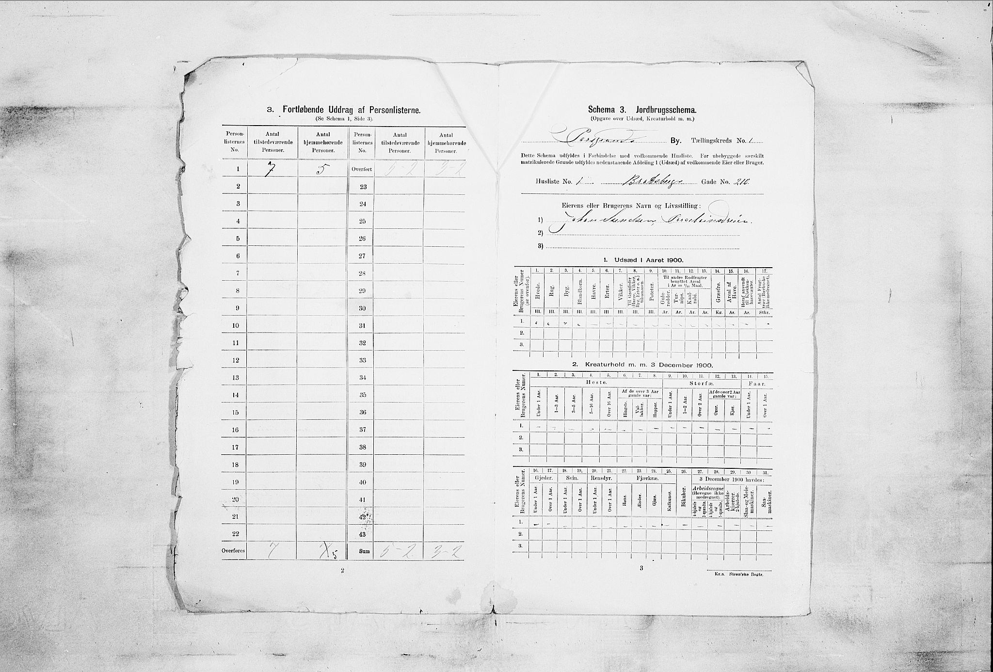 SAKO, 1900 census for Porsgrunn, 1900, p. 3350