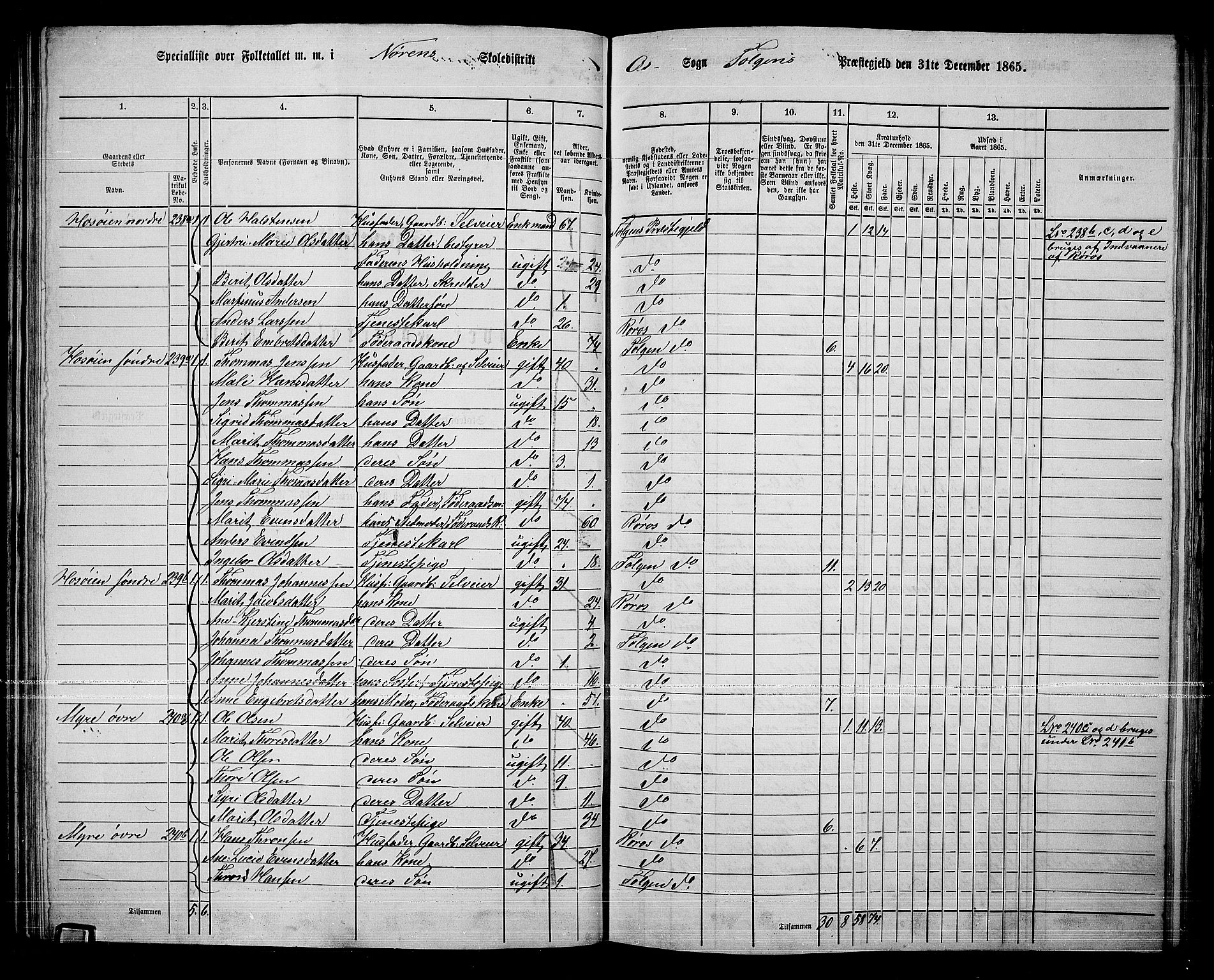 RA, 1865 census for Tolga, 1865, p. 96