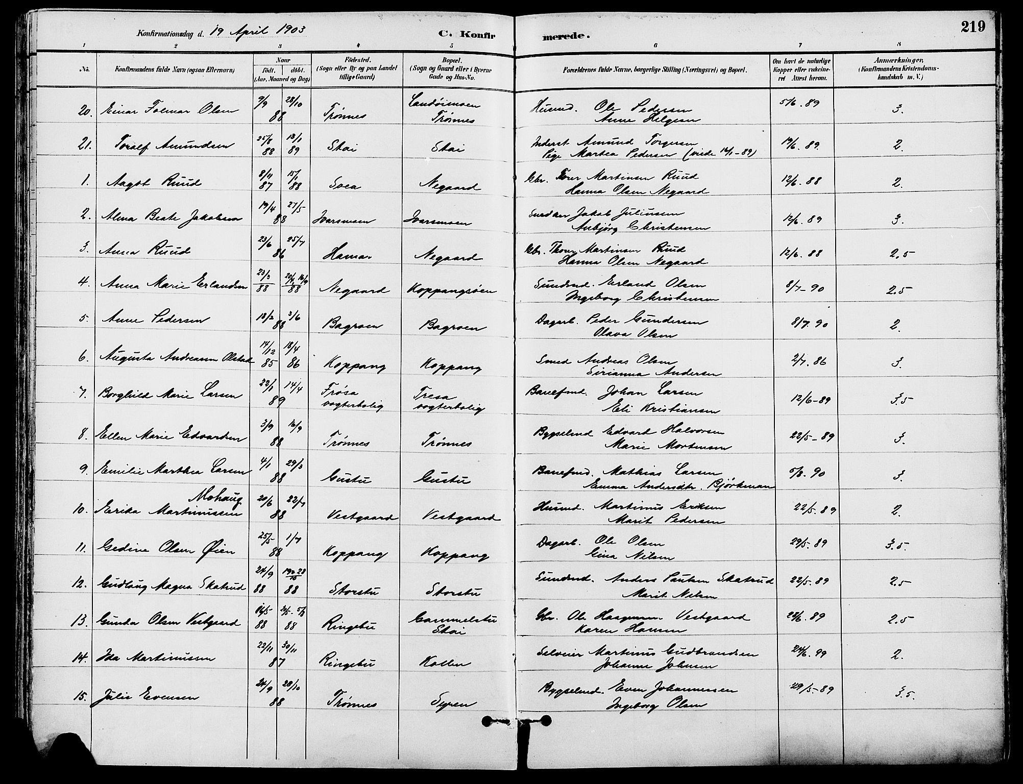 Stor-Elvdal prestekontor, AV/SAH-PREST-052/H/Ha/Haa/L0002: Parish register (official) no. 2, 1882-1907, p. 219