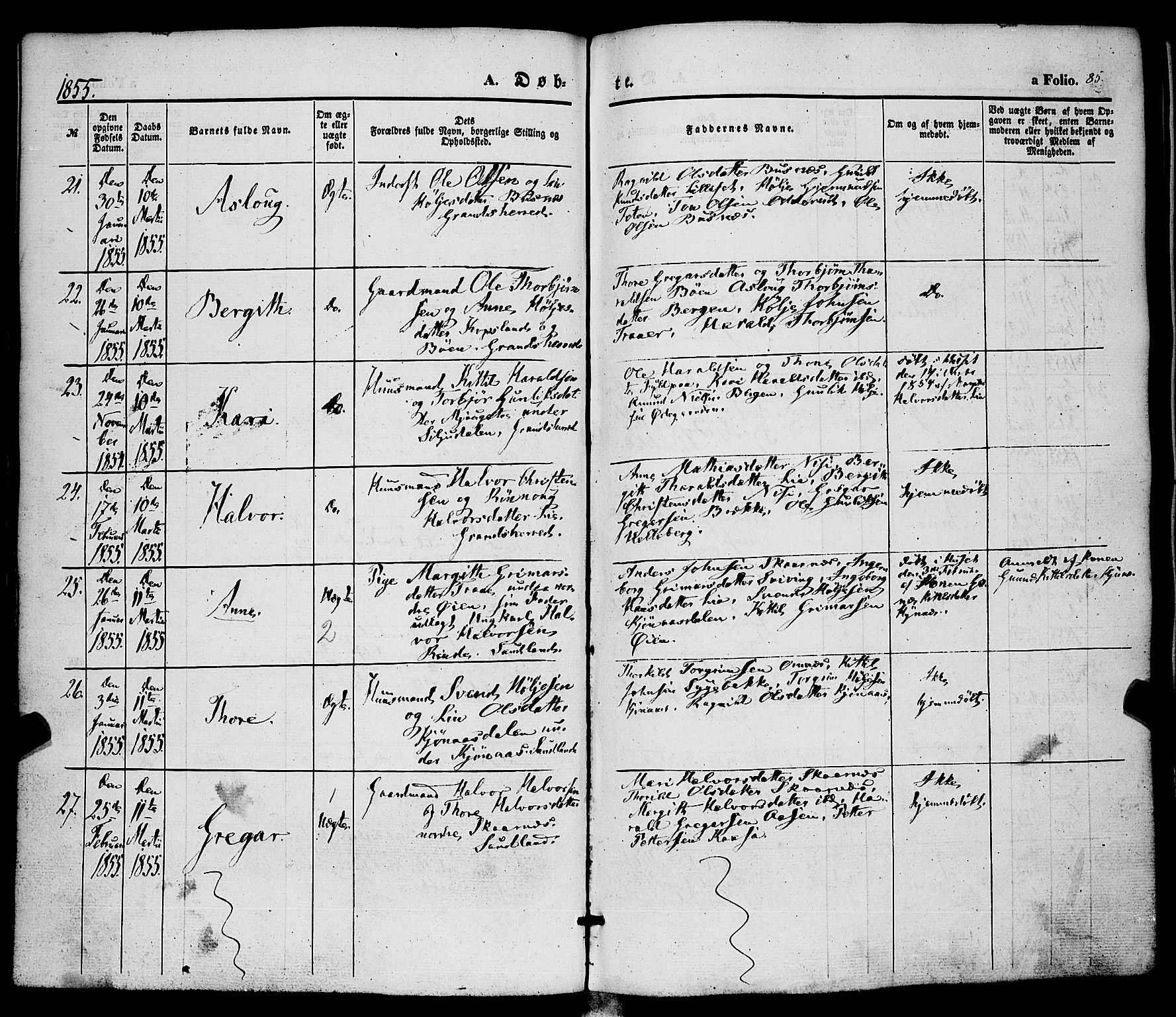 Hjartdal kirkebøker, AV/SAKO-A-270/F/Fa/L0008: Parish register (official) no. I 8, 1844-1859, p. 85