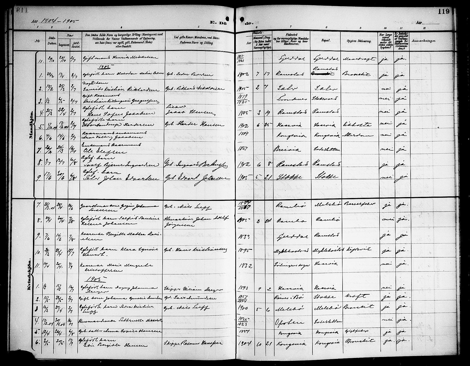 Ministerialprotokoller, klokkerbøker og fødselsregistre - Nordland, AV/SAT-A-1459/865/L0932: Parish register (copy) no. 865C04, 1901-1917, p. 119