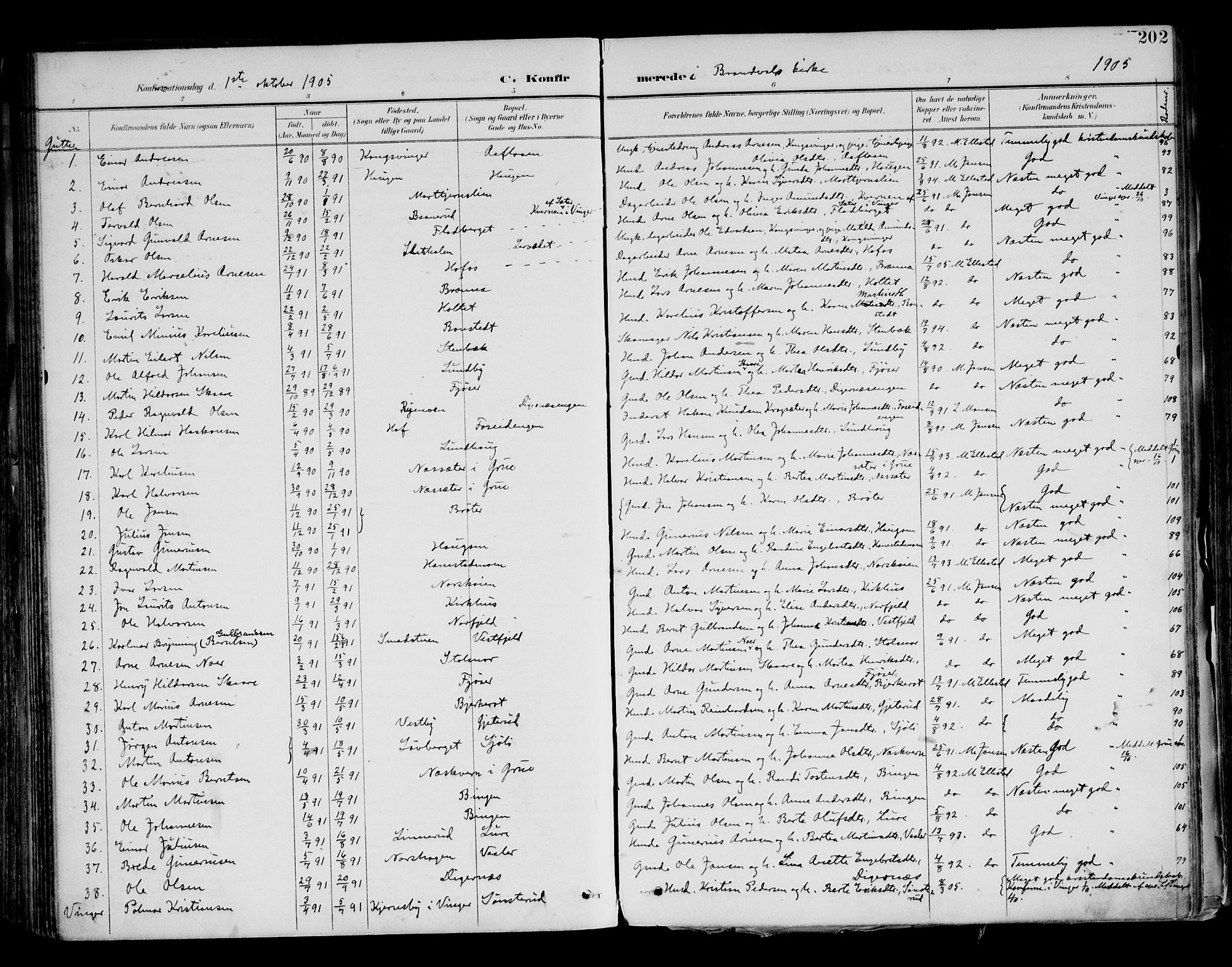 Brandval prestekontor, SAH/PREST-034/H/Ha/Haa/L0003: Parish register (official) no. 3, 1894-1909, p. 202