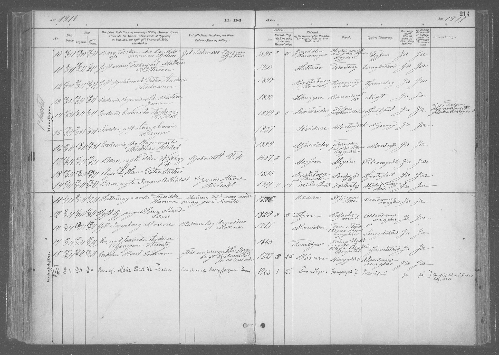 Ministerialprotokoller, klokkerbøker og fødselsregistre - Sør-Trøndelag, SAT/A-1456/601/L0064: Parish register (official) no. 601A31, 1891-1911, p. 214