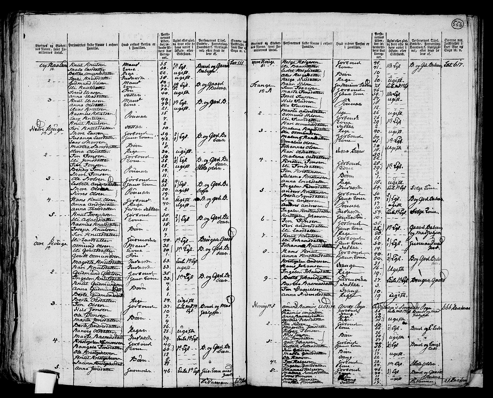 RA, 1801 census for 1152P Torvastad, 1801, p. 555b-556a