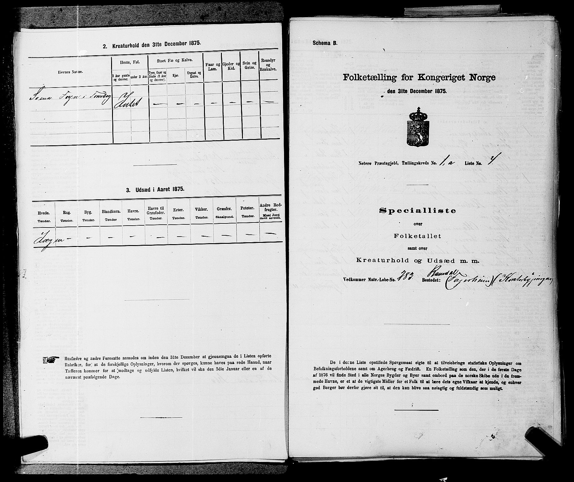 SAKO, 1875 census for 0722P Nøtterøy, 1875, p. 107