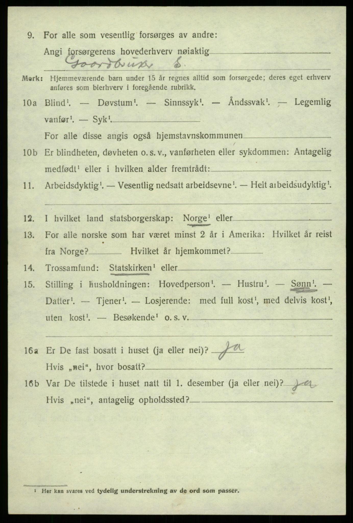 SAB, 1920 census for Hålandsdal, 1920, p. 1251