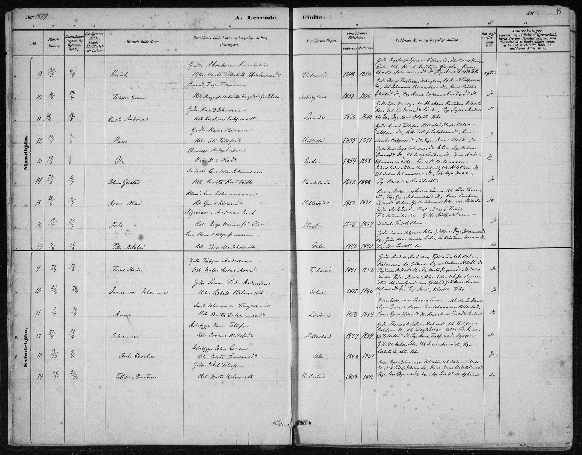 Fjelberg sokneprestembete, AV/SAB-A-75201/H/Haa: Parish register (official) no. C  1, 1879-1918, p. 6