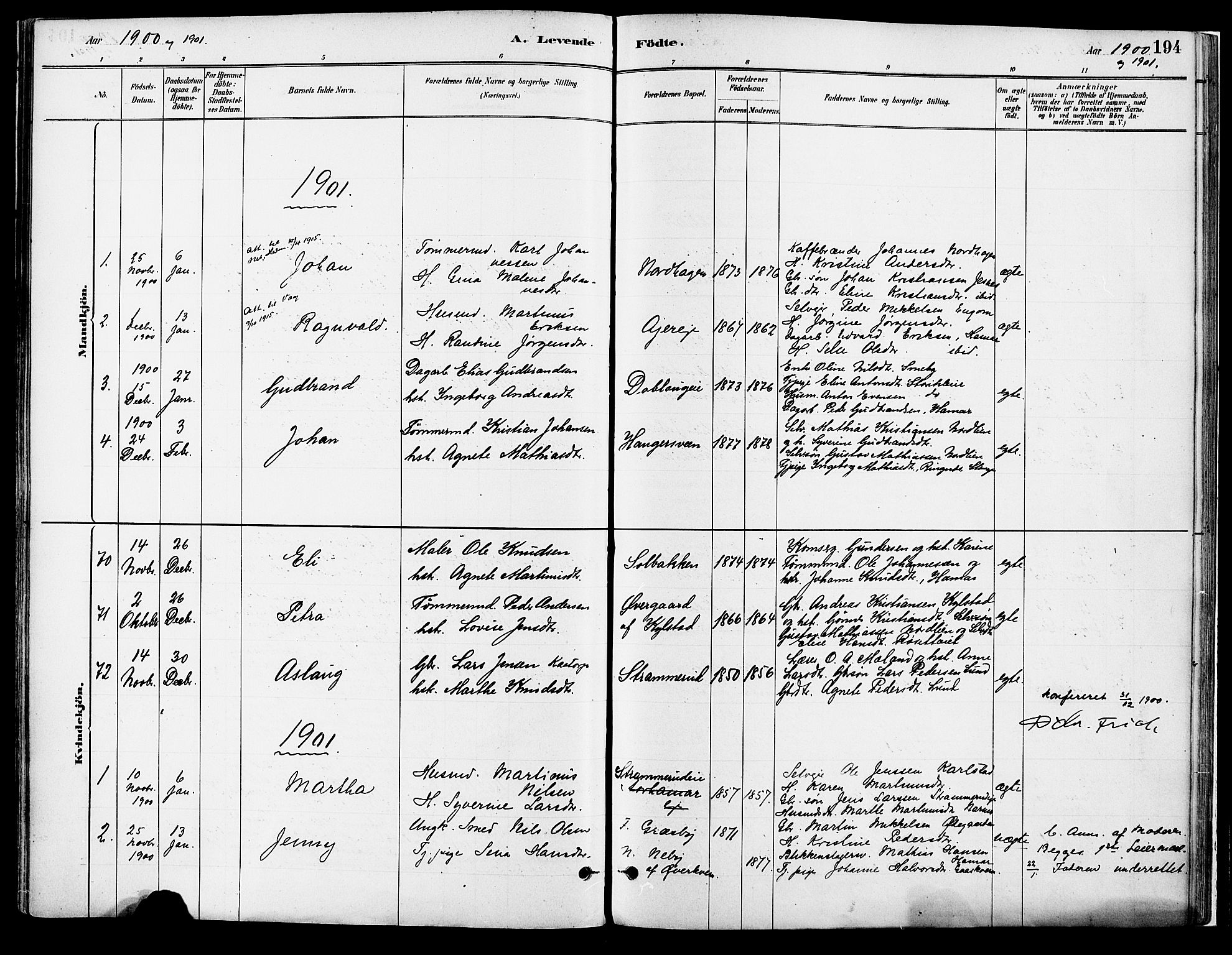 Vang prestekontor, Hedmark, SAH/PREST-008/H/Ha/Haa/L0018A: Parish register (official) no. 18A, 1880-1906, p. 194