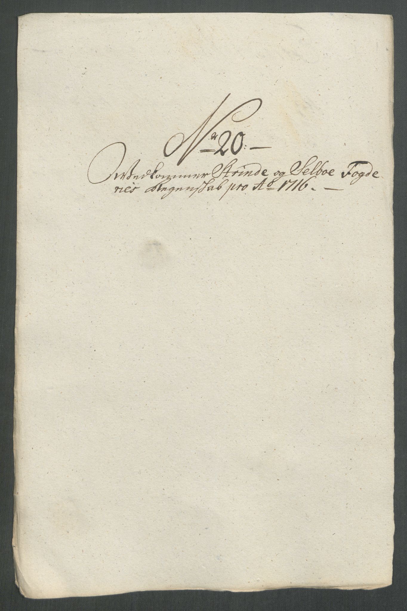 Rentekammeret inntil 1814, Reviderte regnskaper, Fogderegnskap, AV/RA-EA-4092/R61/L4115: Fogderegnskap Strinda og Selbu, 1715-1716, p. 417