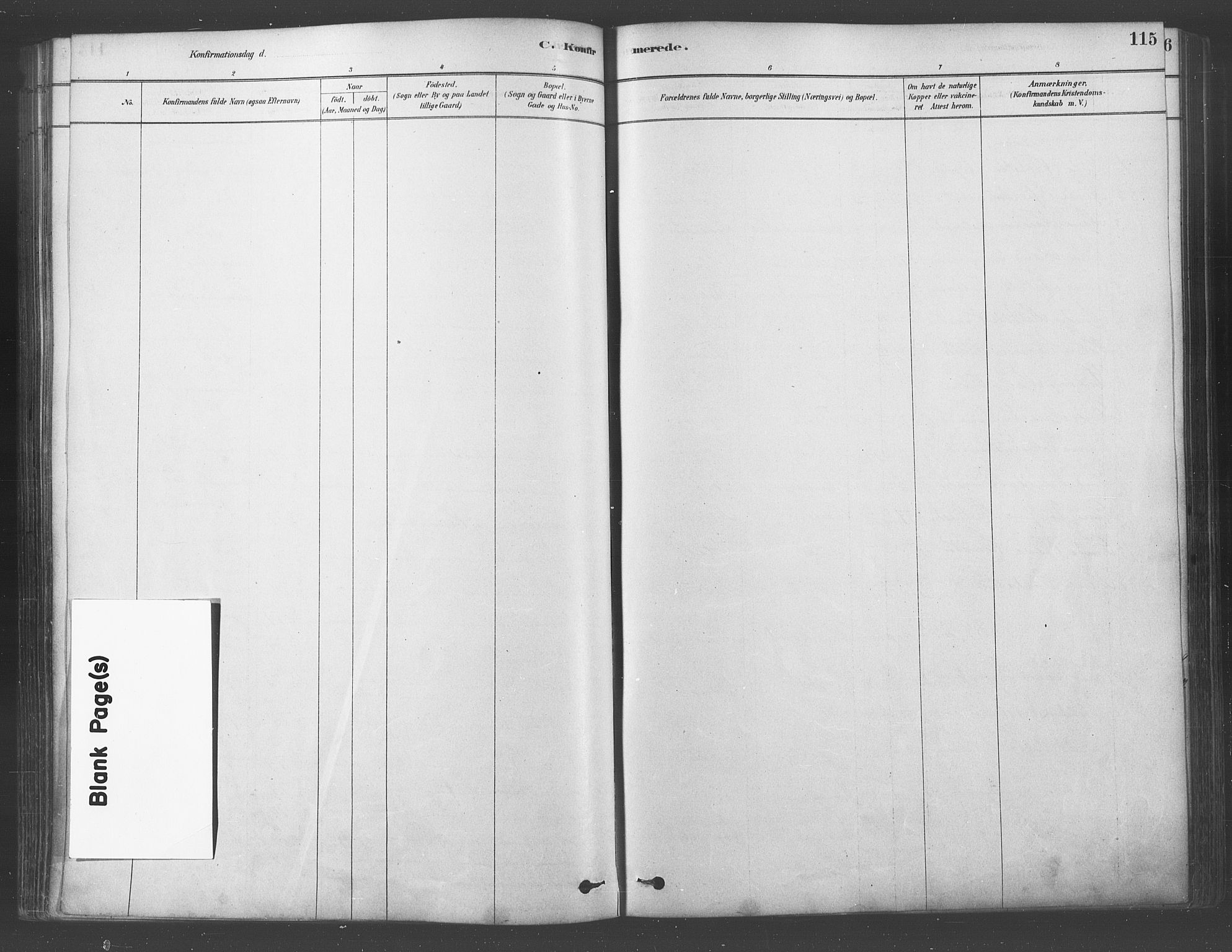 Ullensaker prestekontor Kirkebøker, SAO/A-10236a/F/Fa/L0019: Parish register (official) no. I 19, 1878-1891, p. 115
