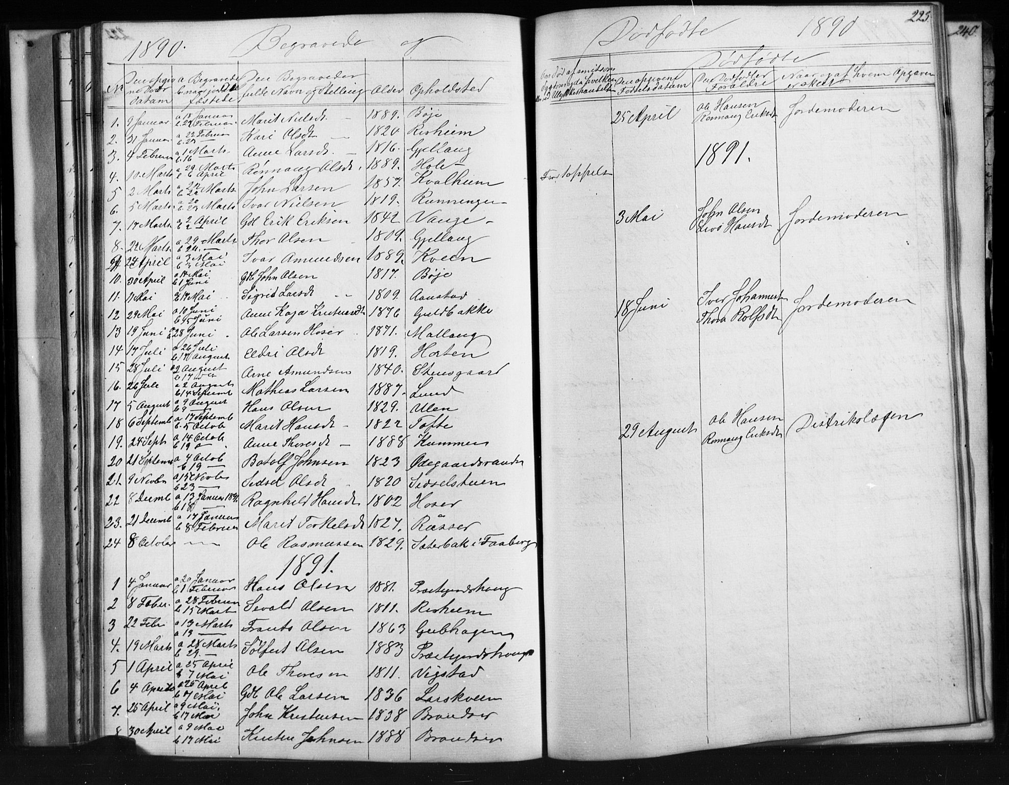 Skjåk prestekontor, SAH/PREST-072/H/Ha/Hab/L0001: Parish register (copy) no. 1, 1865-1893, p. 223