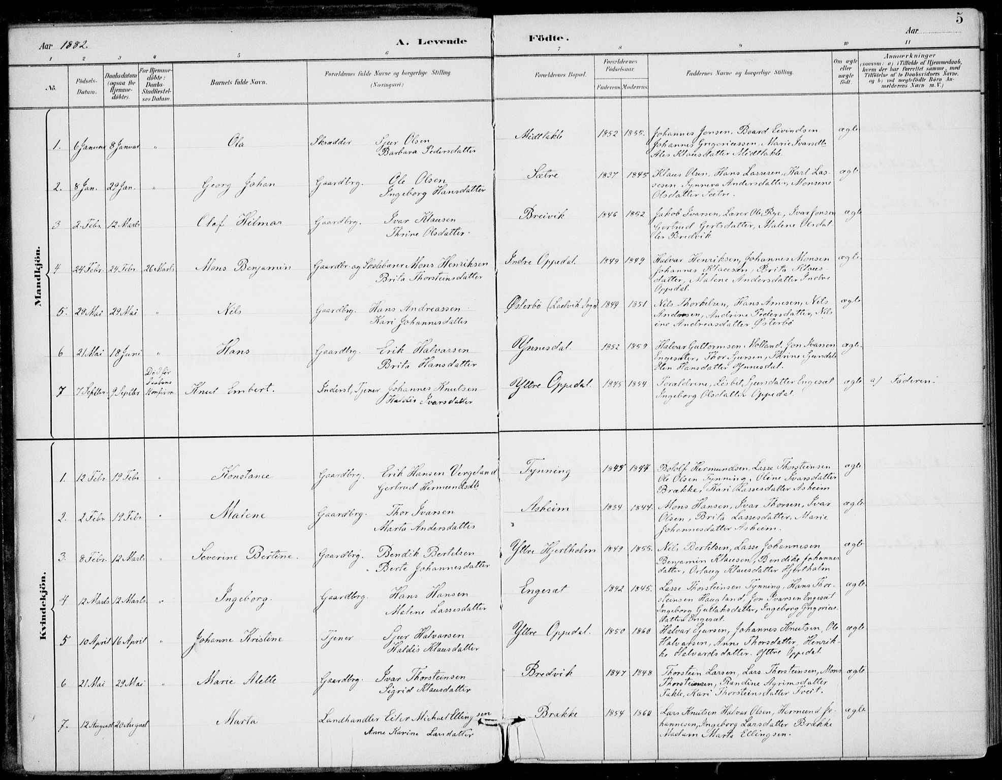 Gulen sokneprestembete, SAB/A-80201/H/Haa/Haac/L0002: Parish register (official) no. C  2, 1882-1914, p. 5