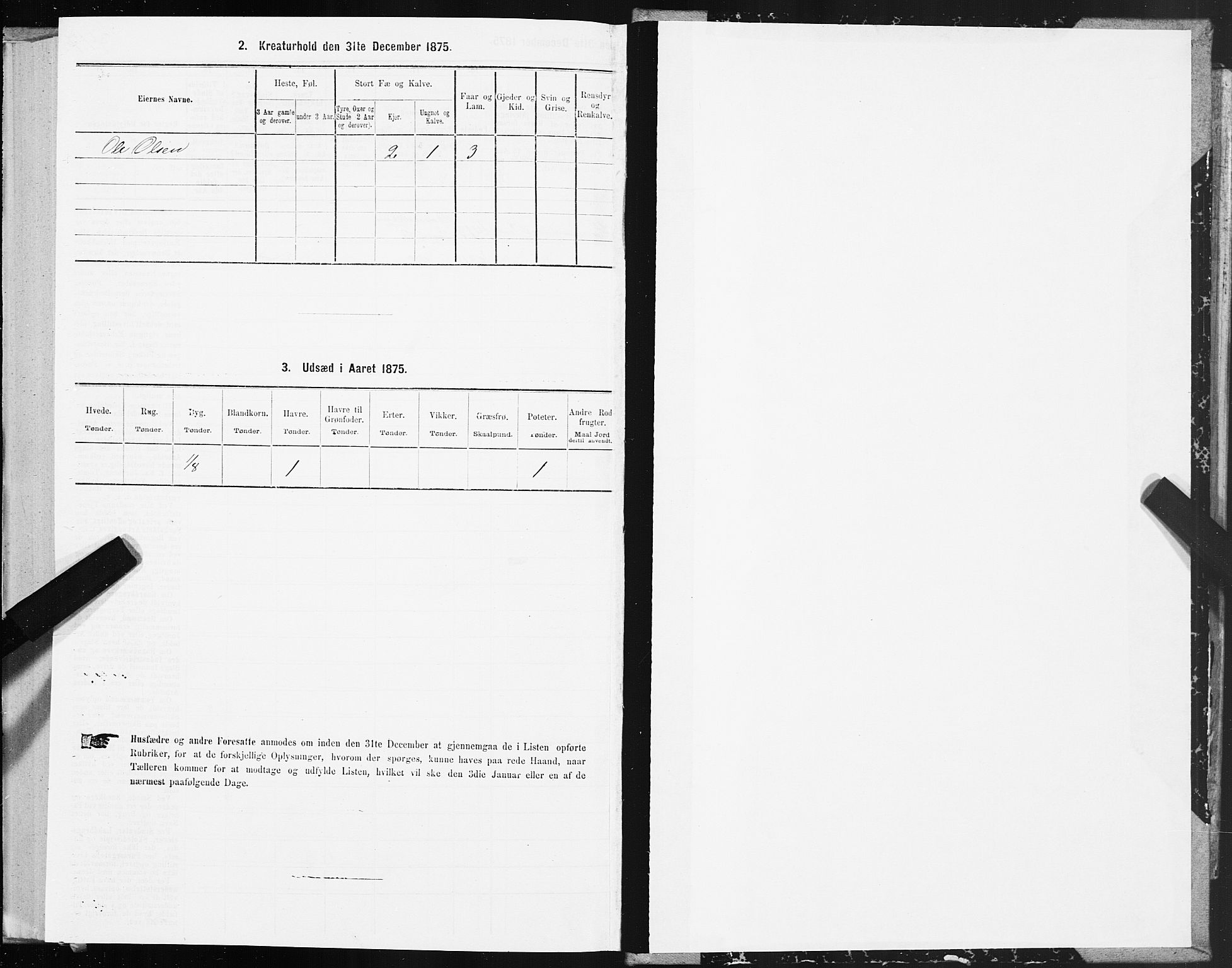 SAT, 1875 census for 1658P Børsa, 1875