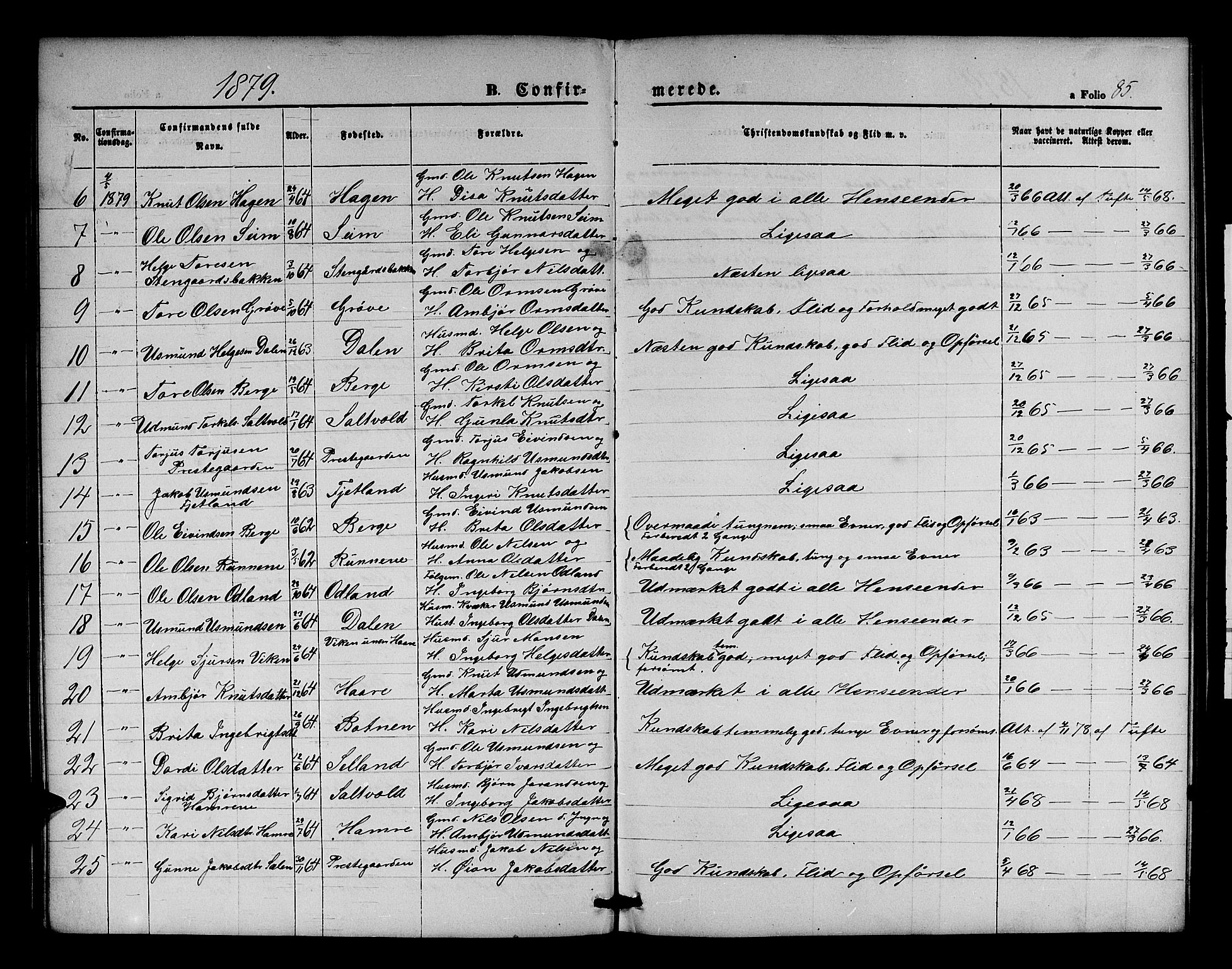 Røldal sokneprestembete, SAB/A-100247: Parish register (copy) no. A 2, 1861-1886, p. 85