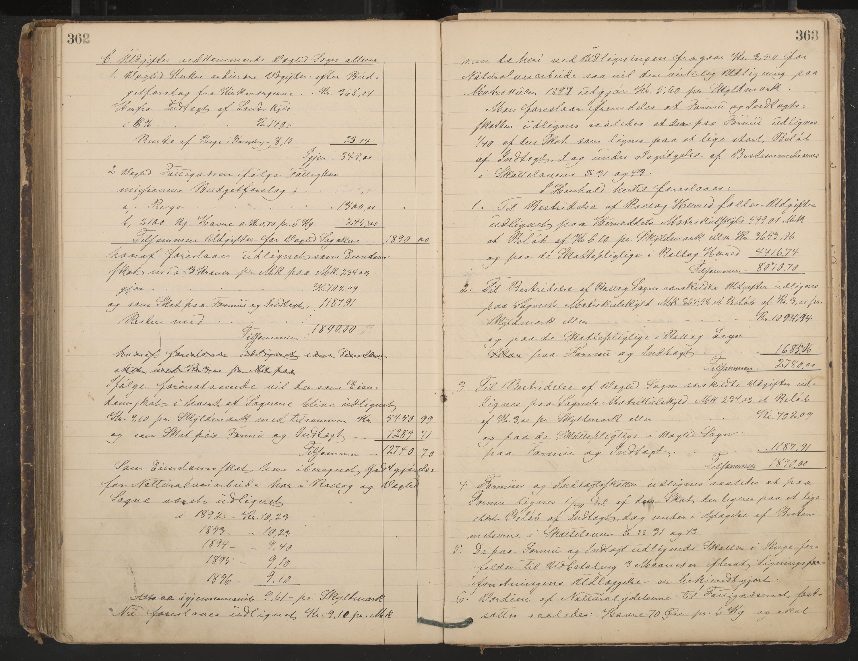 Rollag formannskap og sentraladministrasjon, IKAK/0632021-2/A/Aa/L0003: Møtebok, 1884-1897, p. 362-363