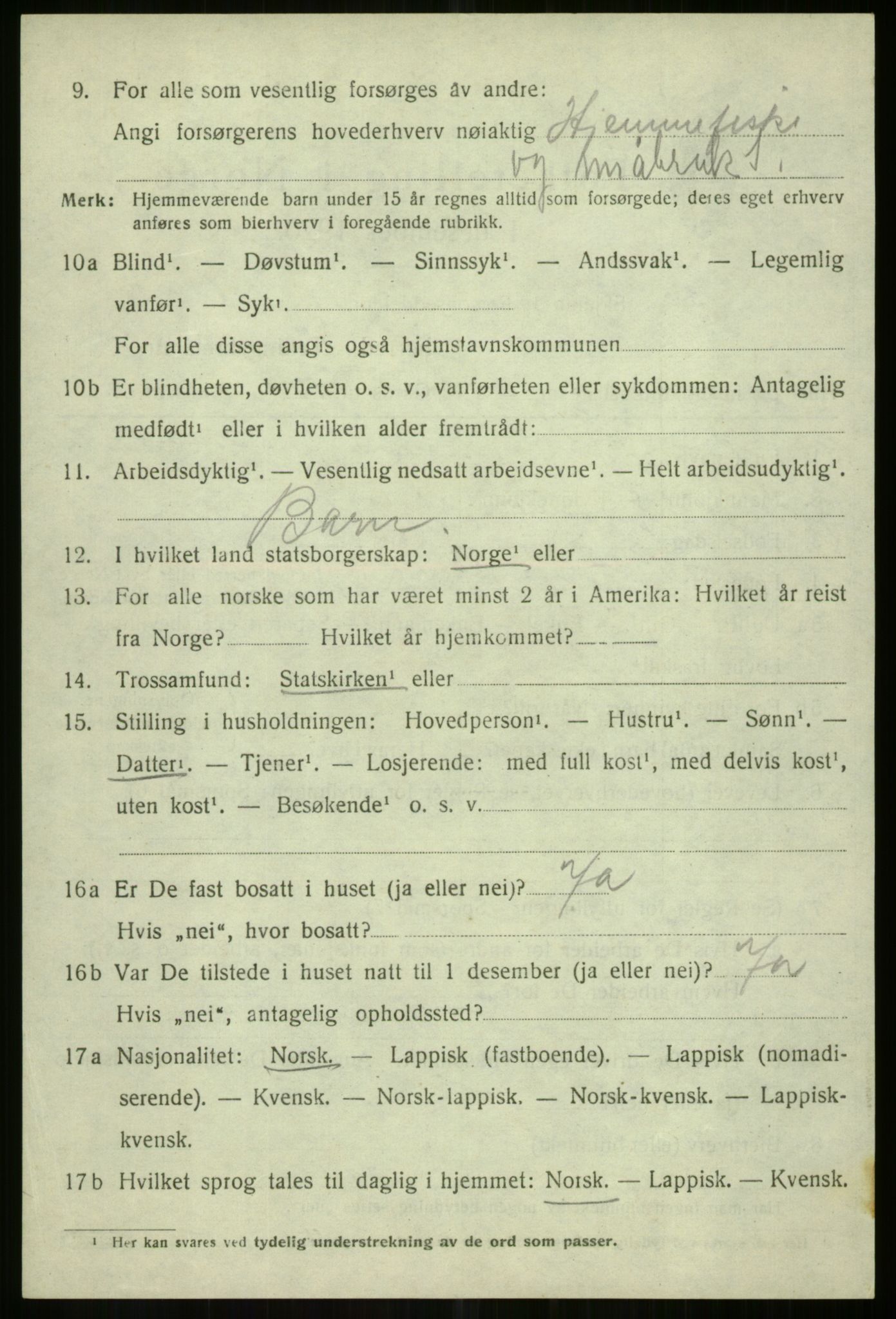 SATØ, 1920 census for Tromsøysund, 1920, p. 13117