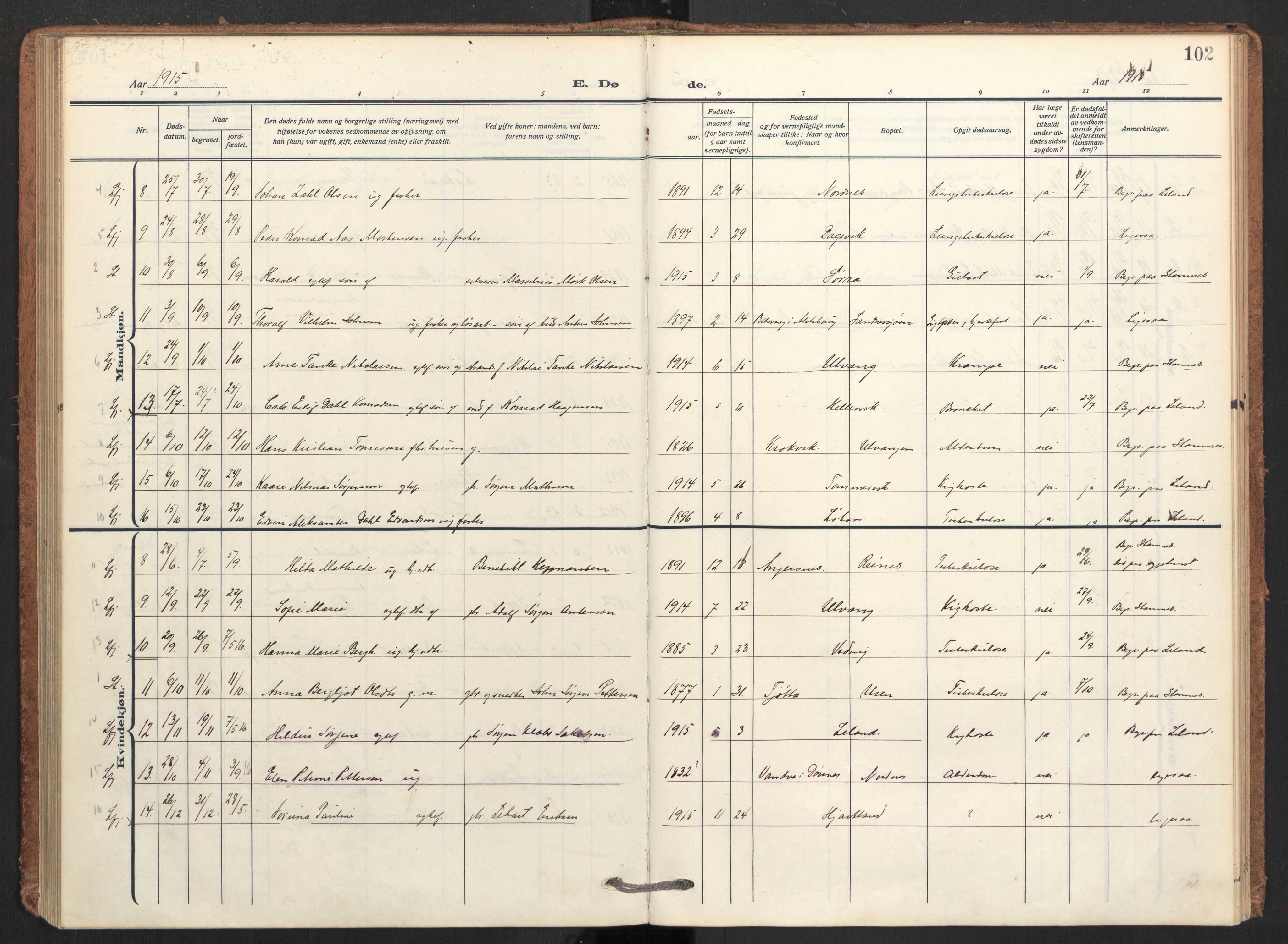 Ministerialprotokoller, klokkerbøker og fødselsregistre - Nordland, AV/SAT-A-1459/831/L0473: Parish register (official) no. 831A04, 1909-1934, p. 102