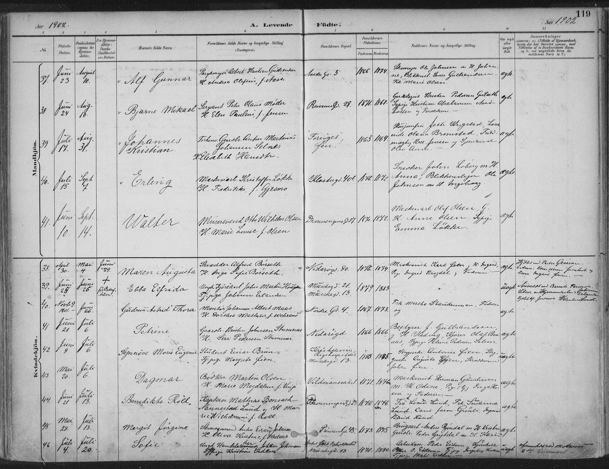 Ministerialprotokoller, klokkerbøker og fødselsregistre - Sør-Trøndelag, SAT/A-1456/601/L0062: Parish register (official) no. 601A30, 1891-1911, p. 119