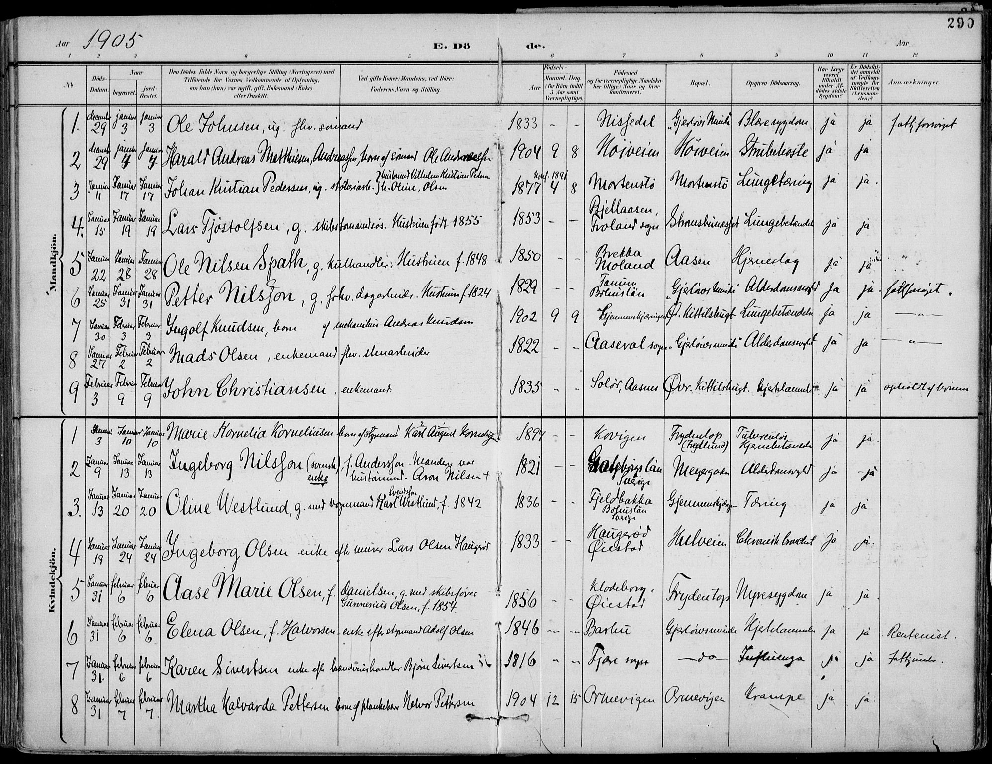 Barbu sokneprestkontor, AV/SAK-1111-0003/F/Fa/L0005: Parish register (official) no. A 5, 1899-1909, p. 290