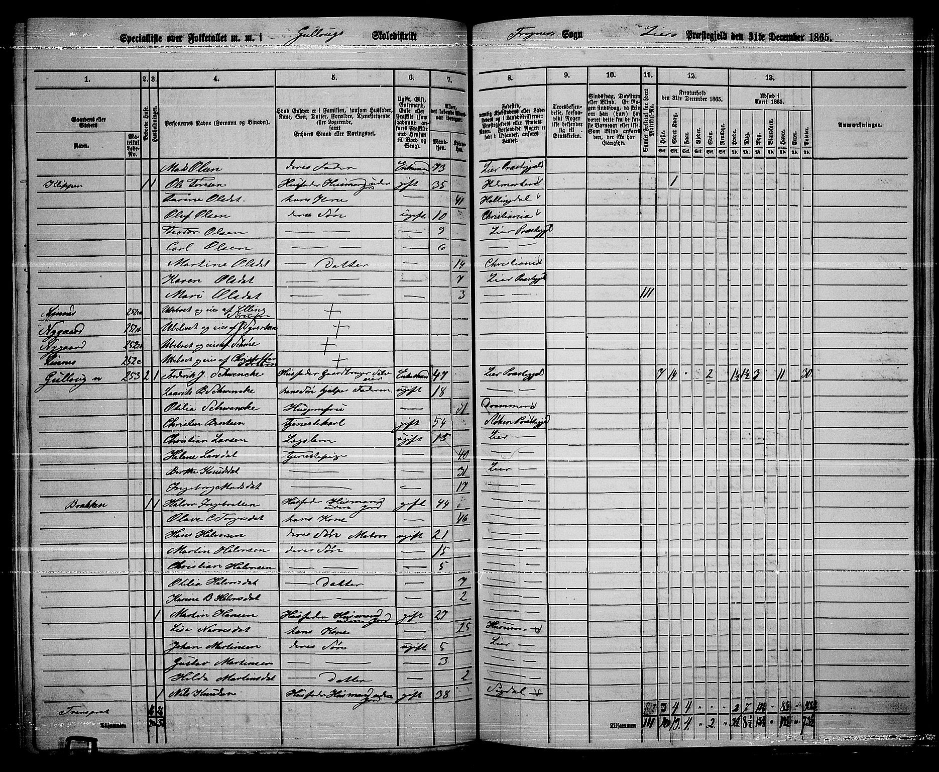 RA, 1865 census for Lier, 1865, p. 150