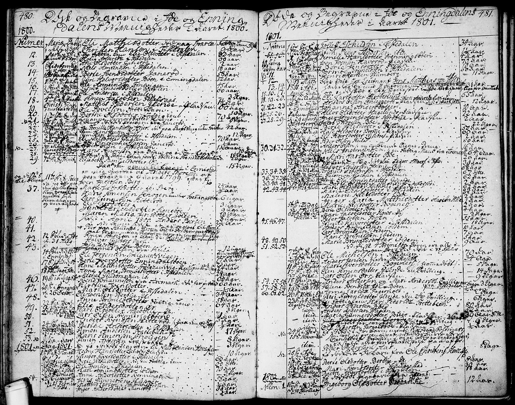 Idd prestekontor Kirkebøker, SAO/A-10911/F/Fc/L0001: Parish register (official) no. III 1, 1770-1814, p. 480-481