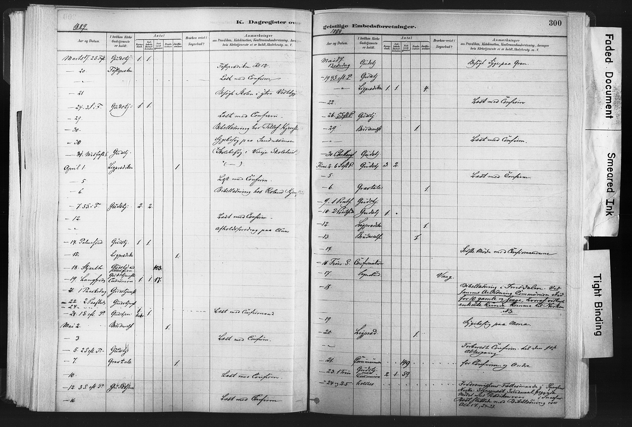 Ministerialprotokoller, klokkerbøker og fødselsregistre - Nord-Trøndelag, AV/SAT-A-1458/749/L0474: Parish register (official) no. 749A08, 1887-1903, p. 300