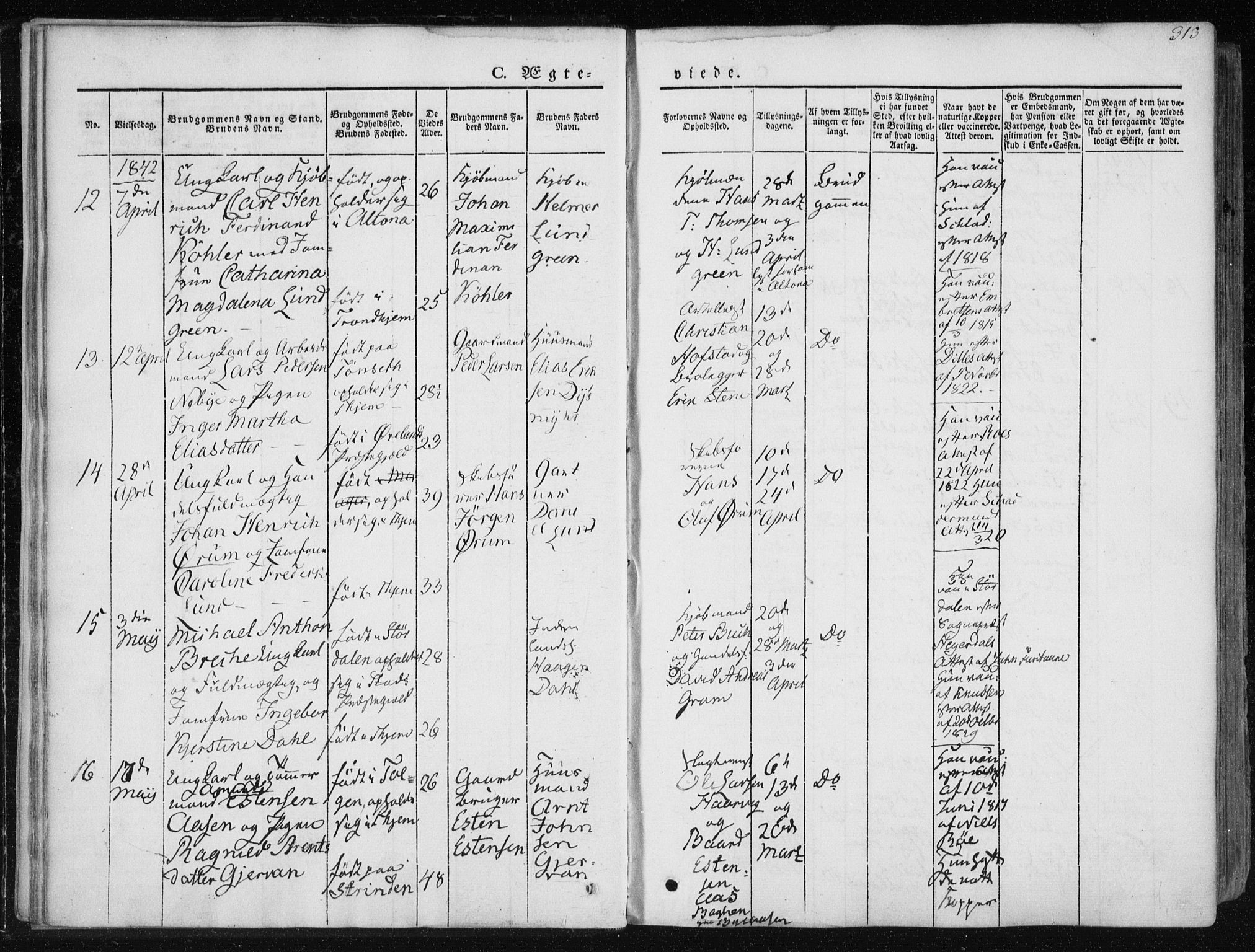 Ministerialprotokoller, klokkerbøker og fødselsregistre - Sør-Trøndelag, SAT/A-1456/601/L0049: Parish register (official) no. 601A17, 1839-1847, p. 313