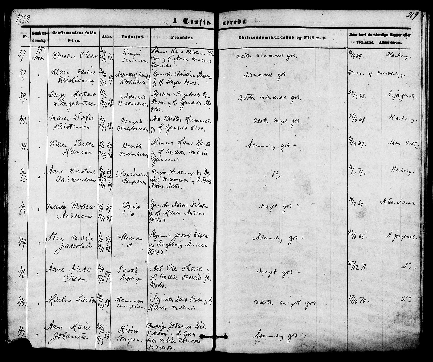 Skåtøy kirkebøker, SAKO/A-304/F/Fa/L0001: Parish register (official) no. I 1, 1874-1883, p. 219