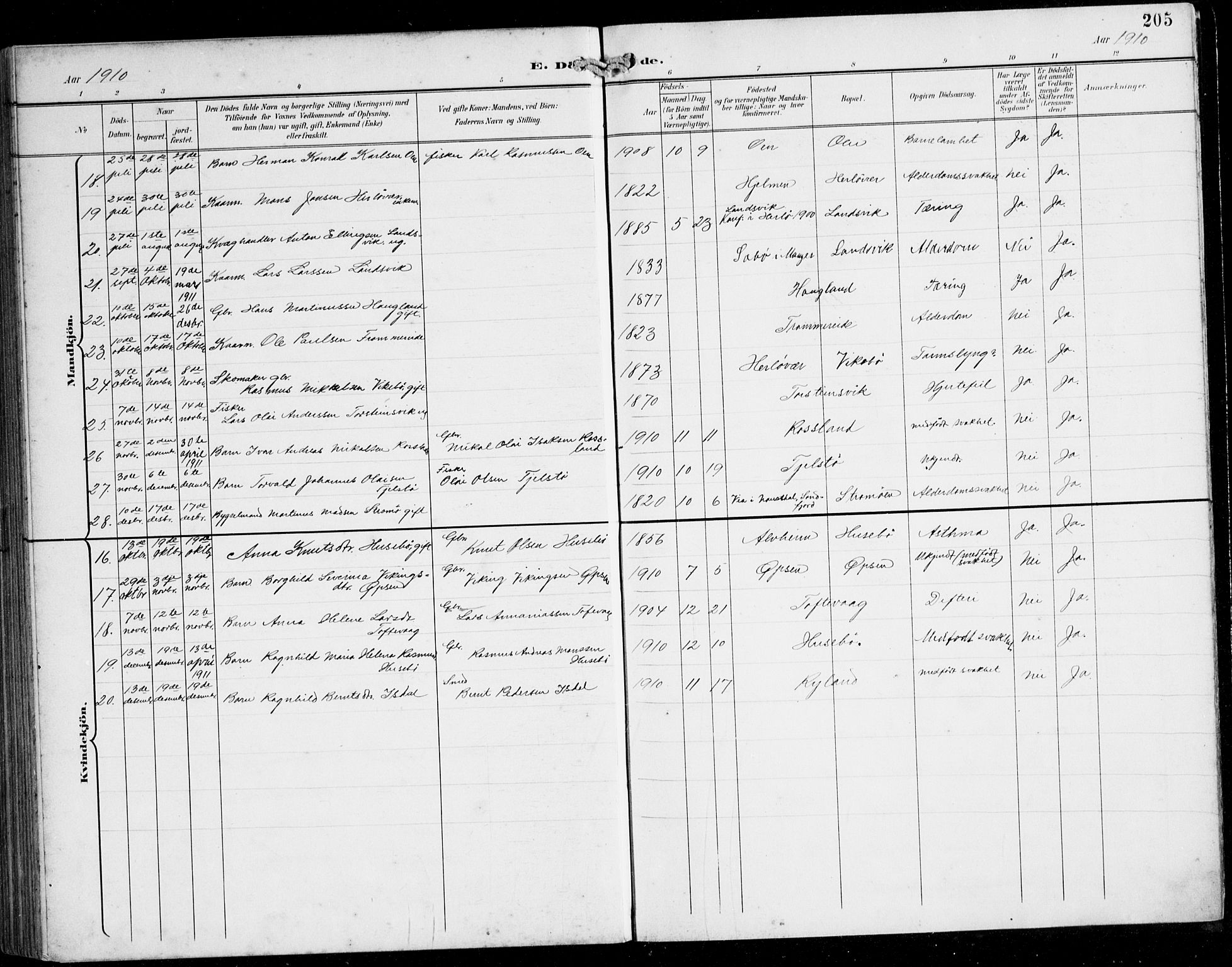Herdla Sokneprestembete, AV/SAB-A-75701/H/Hab: Parish register (copy) no. C 1, 1900-1913, p. 205