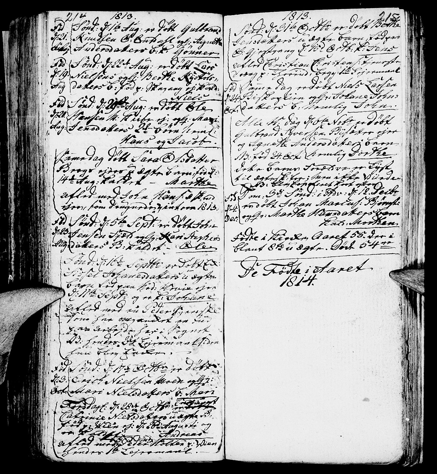 Nes prestekontor, Hedmark, AV/SAH-PREST-020/L/La/L0002: Parish register (copy) no. 2, 1785-1813, p. 214-215