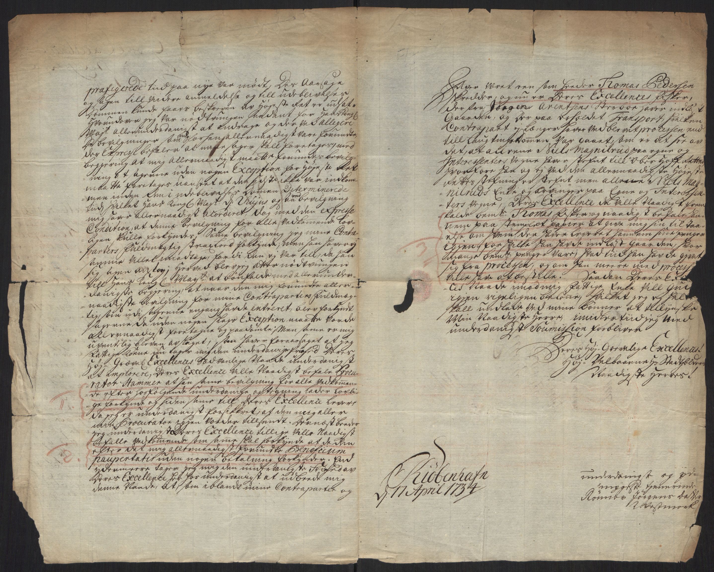 Stattholderembetet 1572-1771, AV/RA-EA-2870/Ef/L0107: Brev fra embetsmenn og andre, 1733-1734, p. 223