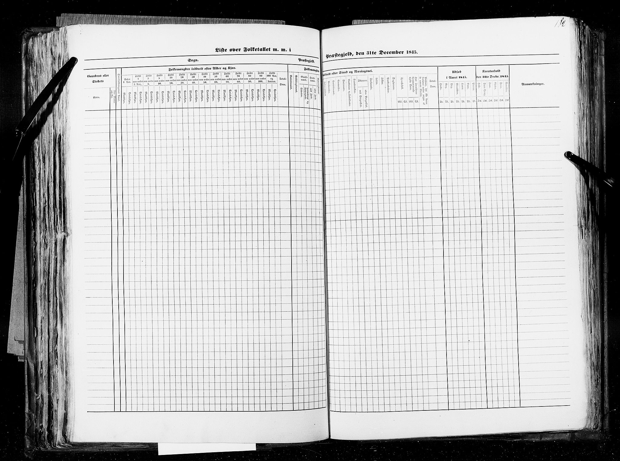 RA, Census 1845, vol. 5: Bratsberg amt og Nedenes og Råbyggelaget amt, 1845, p. 182