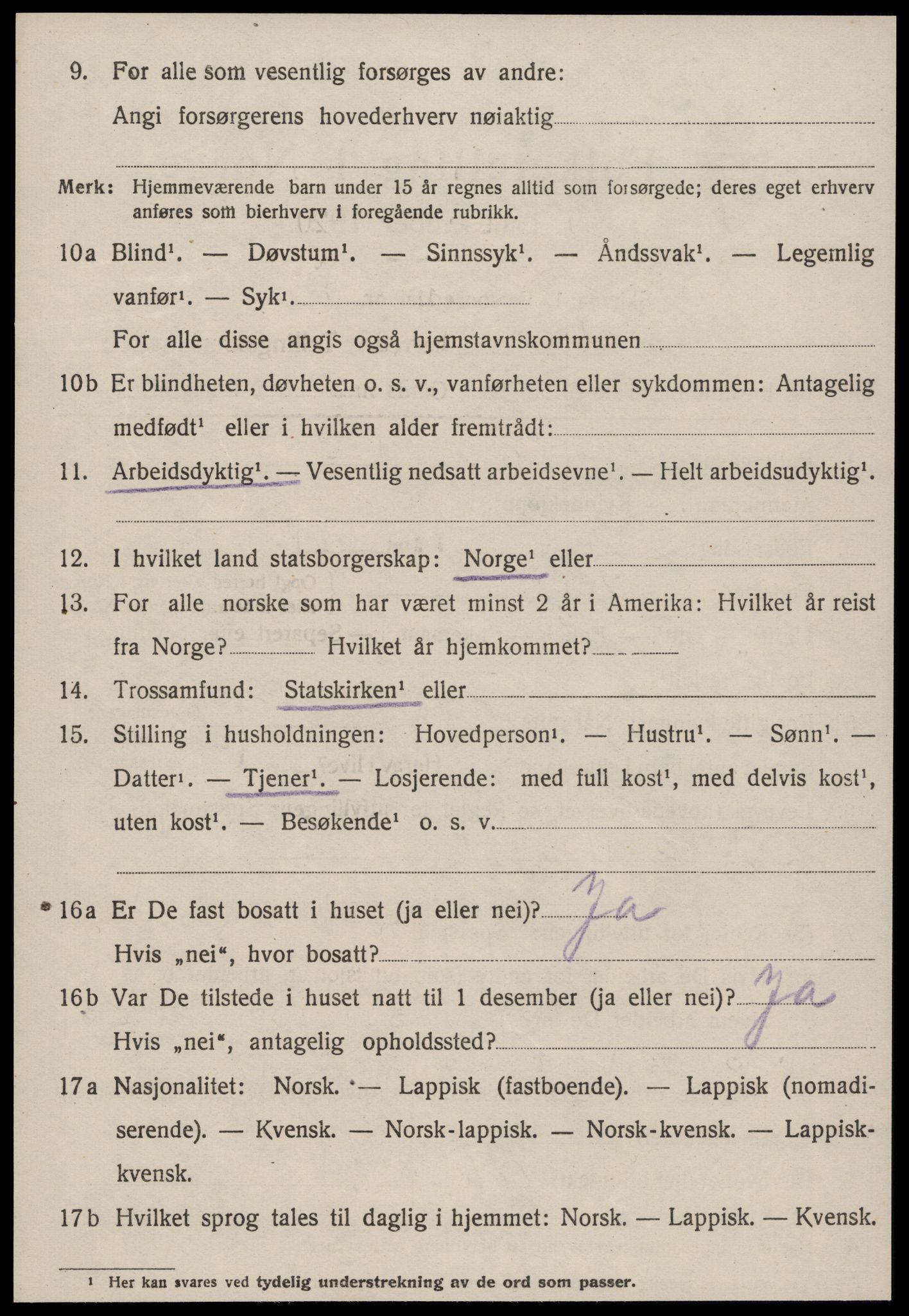 SAT, 1920 census for Strinda, 1920, p. 19973