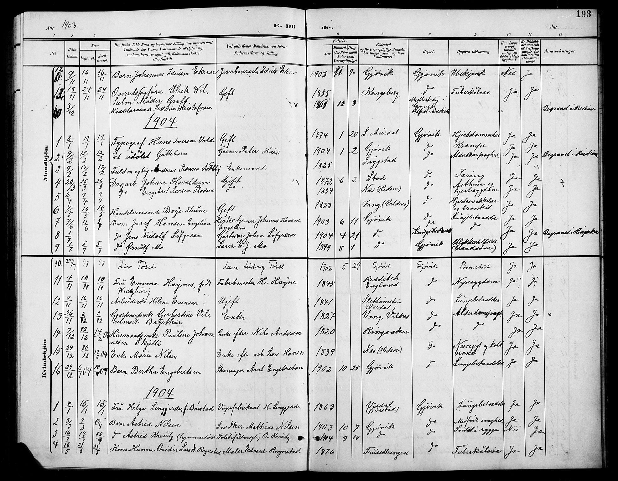 Vardal prestekontor, AV/SAH-PREST-100/H/Ha/Hab/L0012: Parish register (copy) no. 12, 1902-1911, p. 193