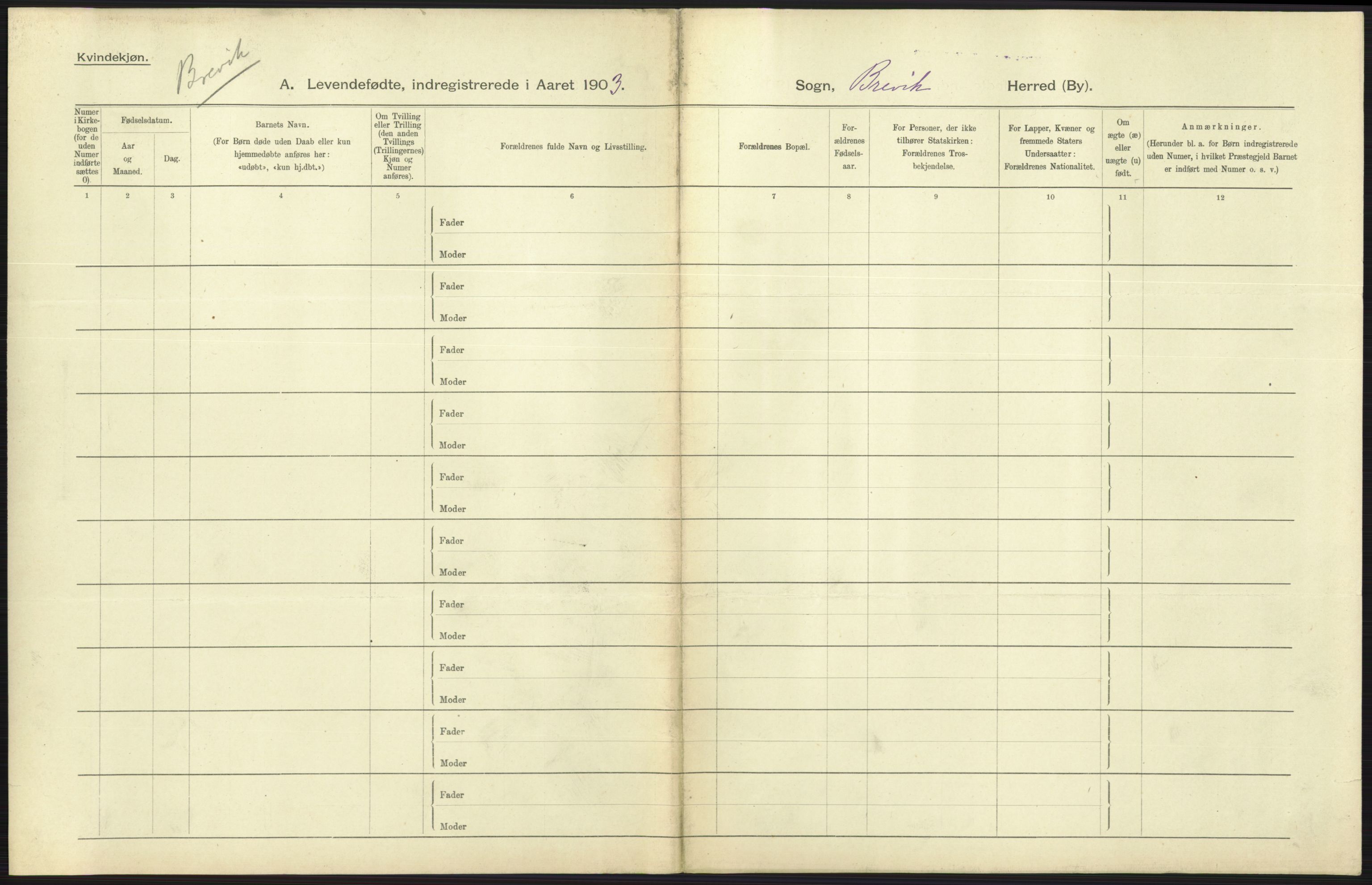 Statistisk sentralbyrå, Sosiodemografiske emner, Befolkning, AV/RA-S-2228/D/Df/Dfa/Dfaa/L0009: Bratsberg amt: Fødte, gifte, døde, 1903, p. 315