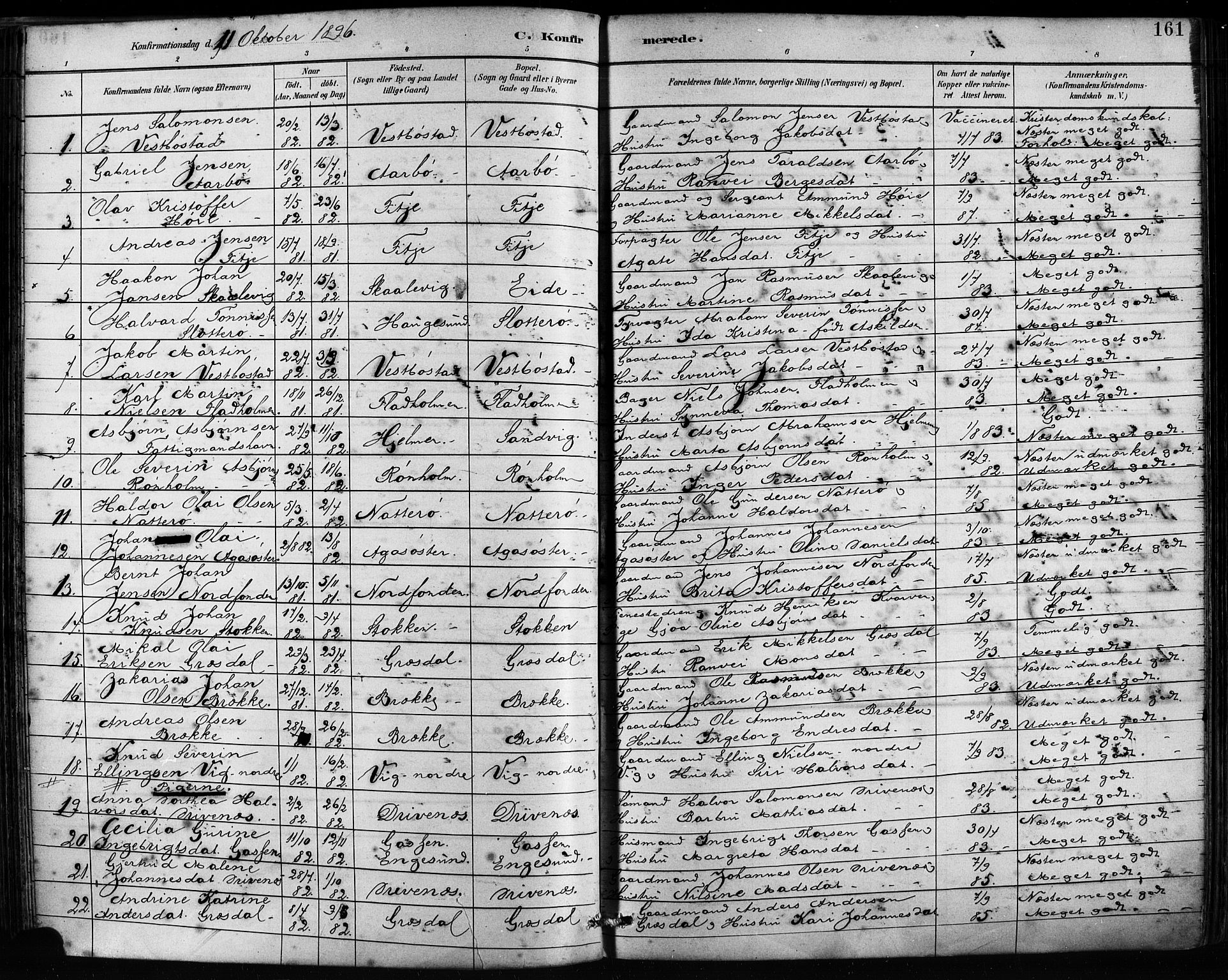 Fitjar sokneprestembete, SAB/A-99926: Parish register (official) no. A 2, 1882-1899, p. 161