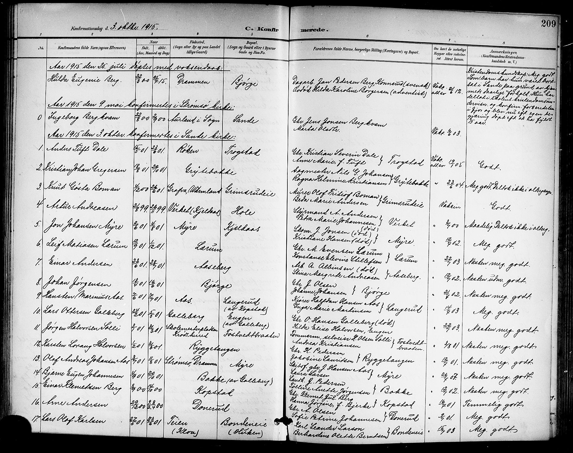 Sande Kirkebøker, AV/SAKO-A-53/G/Ga/L0004: Parish register (copy) no. 4, 1895-1918, p. 209