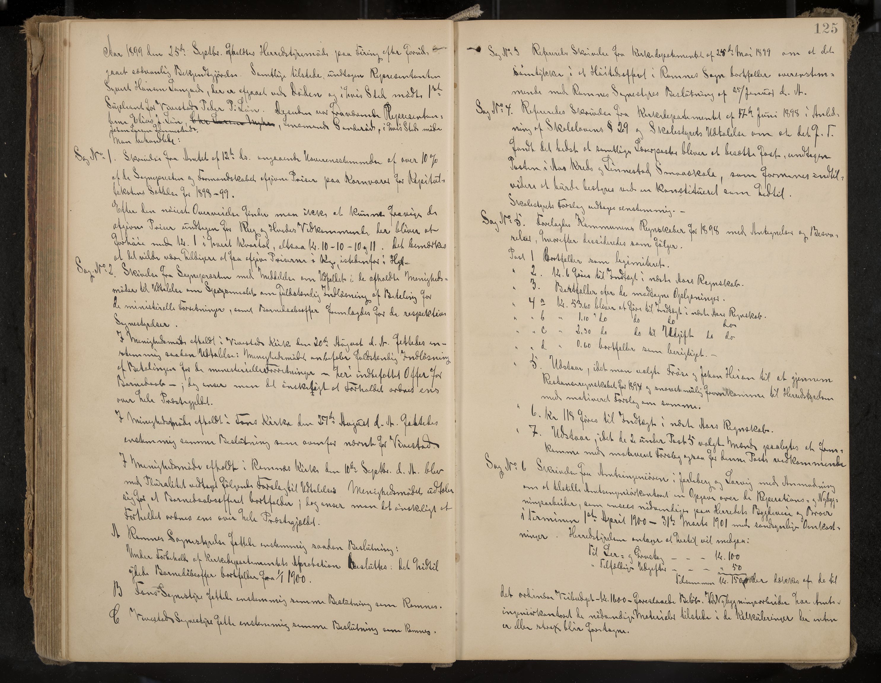 Ramnes formannskap og sentraladministrasjon, IKAK/0718021/A/Aa/L0004: Møtebok, 1892-1907, p. 125