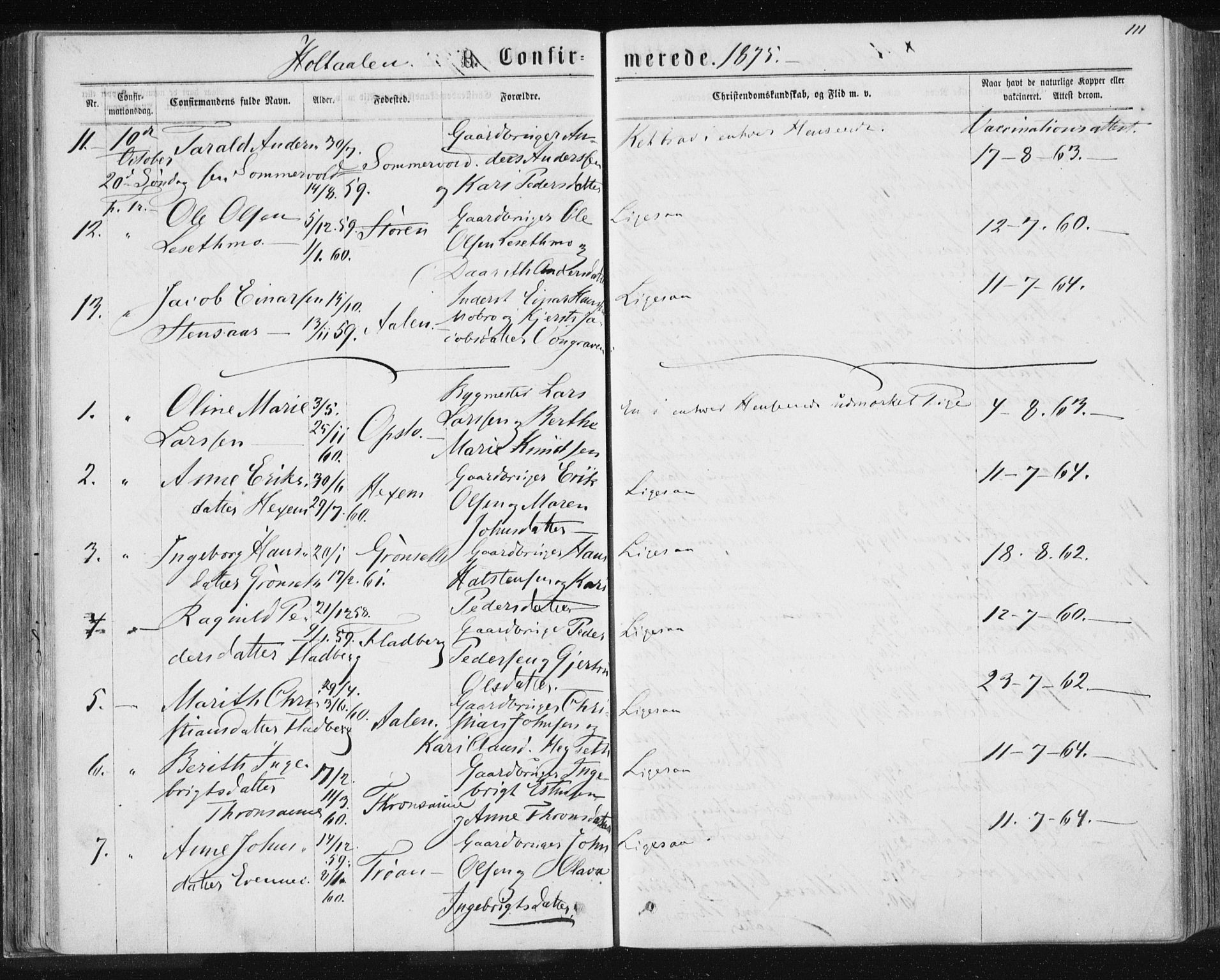 Ministerialprotokoller, klokkerbøker og fødselsregistre - Sør-Trøndelag, SAT/A-1456/685/L0969: Parish register (official) no. 685A08 /1, 1870-1878, p. 111