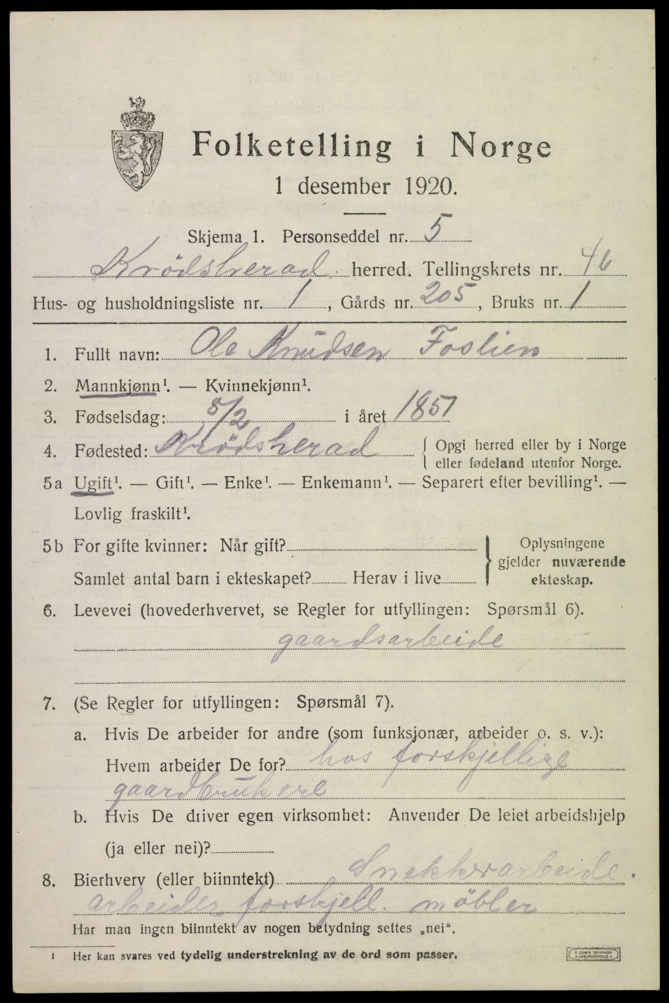 SAKO, 1920 census for Krødsherad, 1920, p. 4955