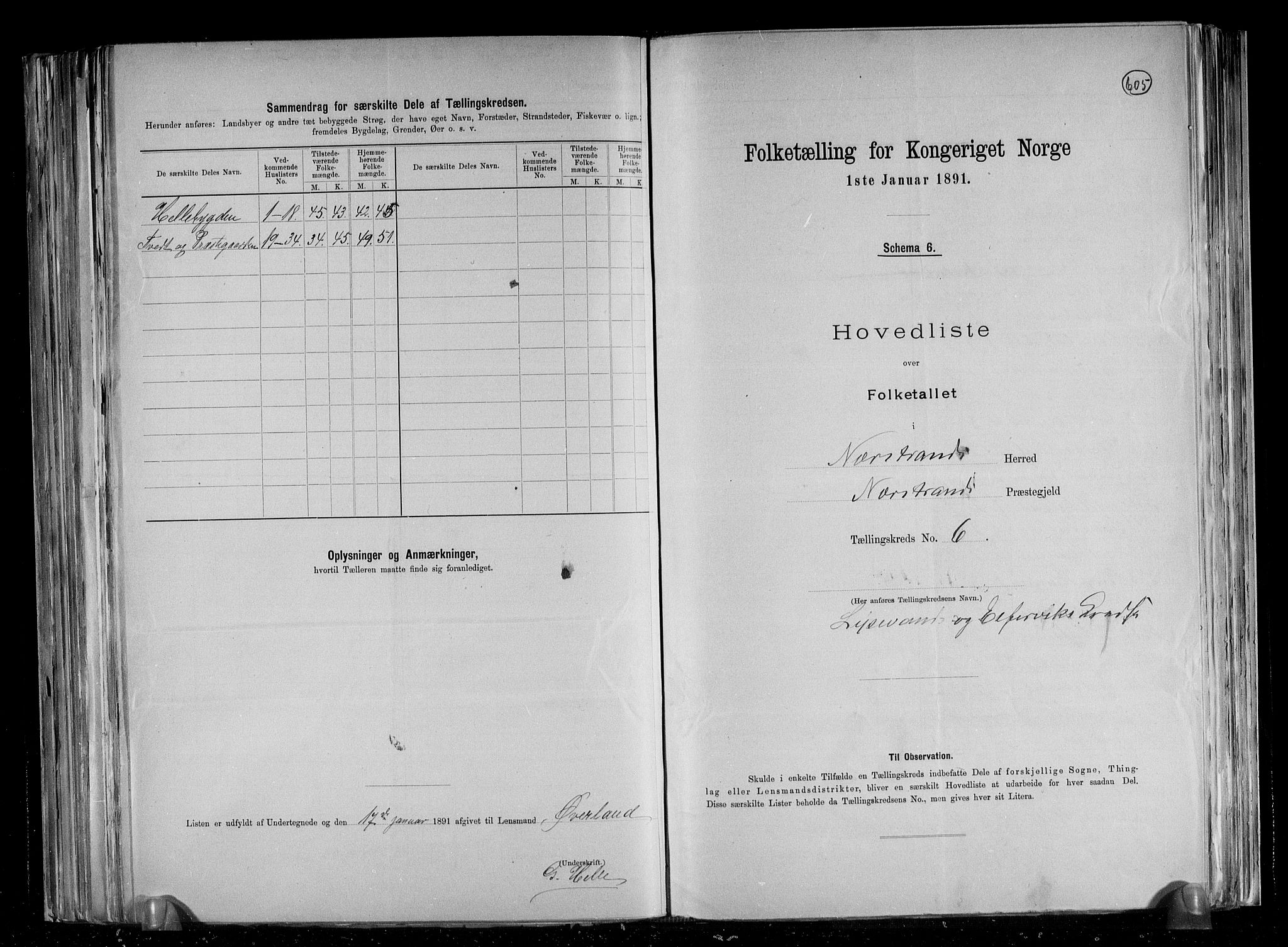 RA, 1891 census for 1139 Nedstrand, 1891, p. 15
