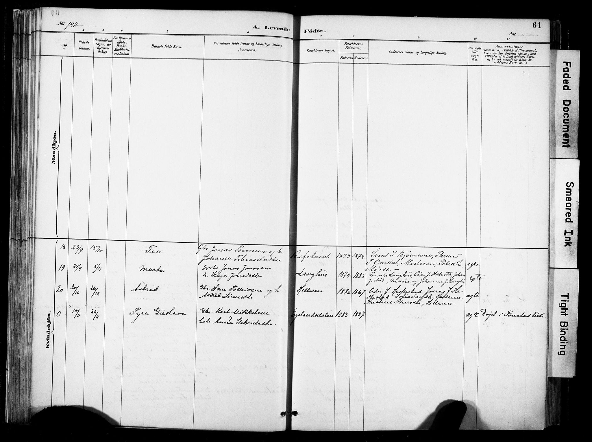 Lund sokneprestkontor, AV/SAST-A-101809/S06/L0012: Parish register (official) no. A 11, 1887-1921, p. 61