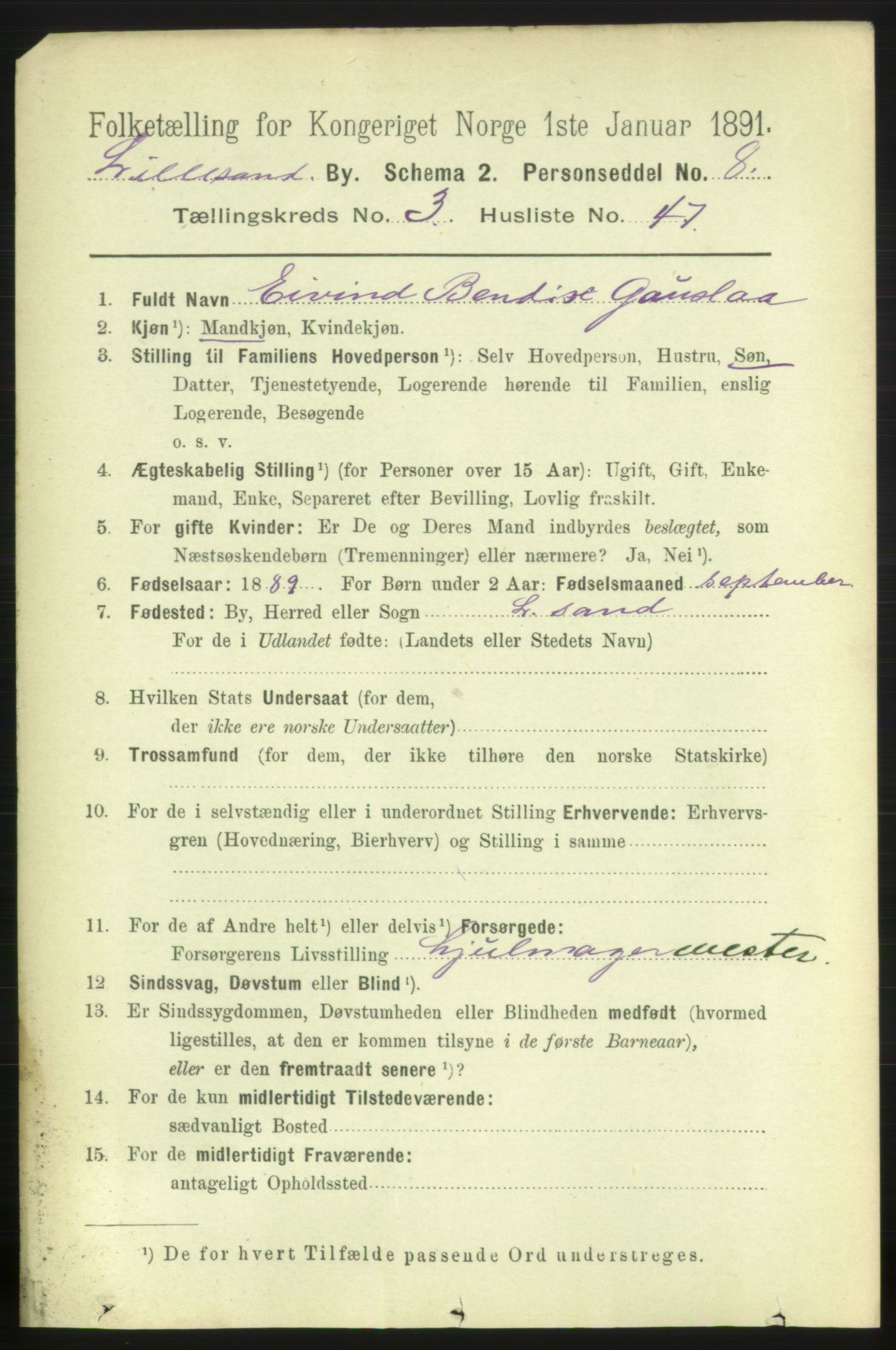 RA, 1891 census for 0905 Lillesand, 1891, p. 1059