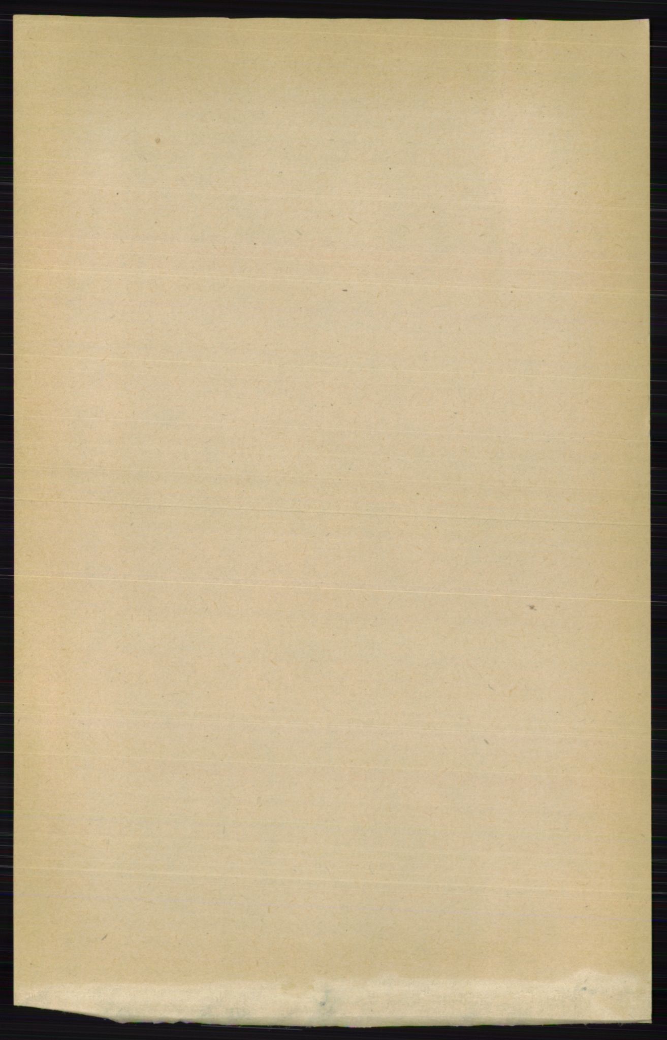 RA, 1891 census for 0412 Ringsaker, 1891, p. 1249