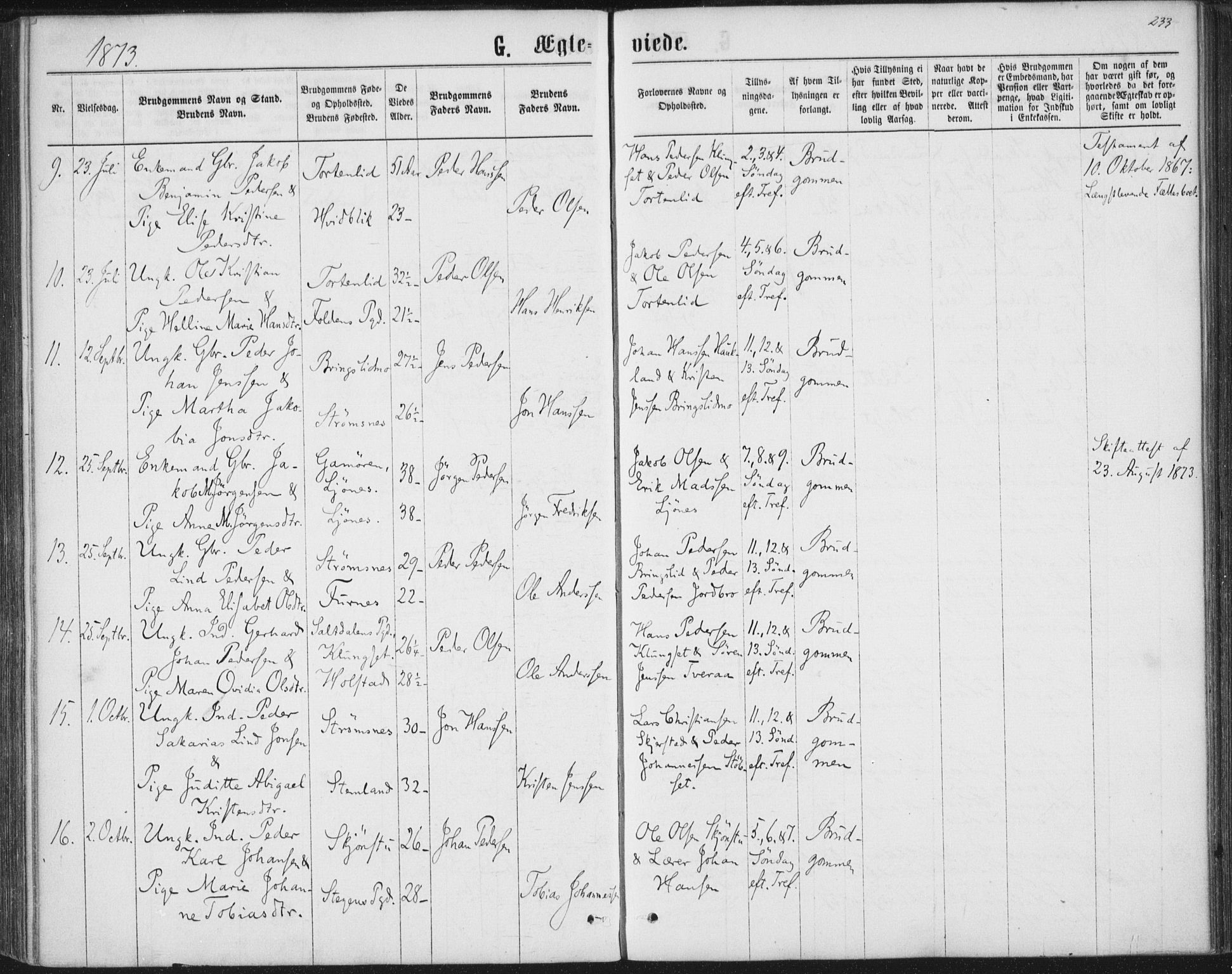 Ministerialprotokoller, klokkerbøker og fødselsregistre - Nordland, AV/SAT-A-1459/852/L0739: Parish register (official) no. 852A09, 1866-1877, p. 233