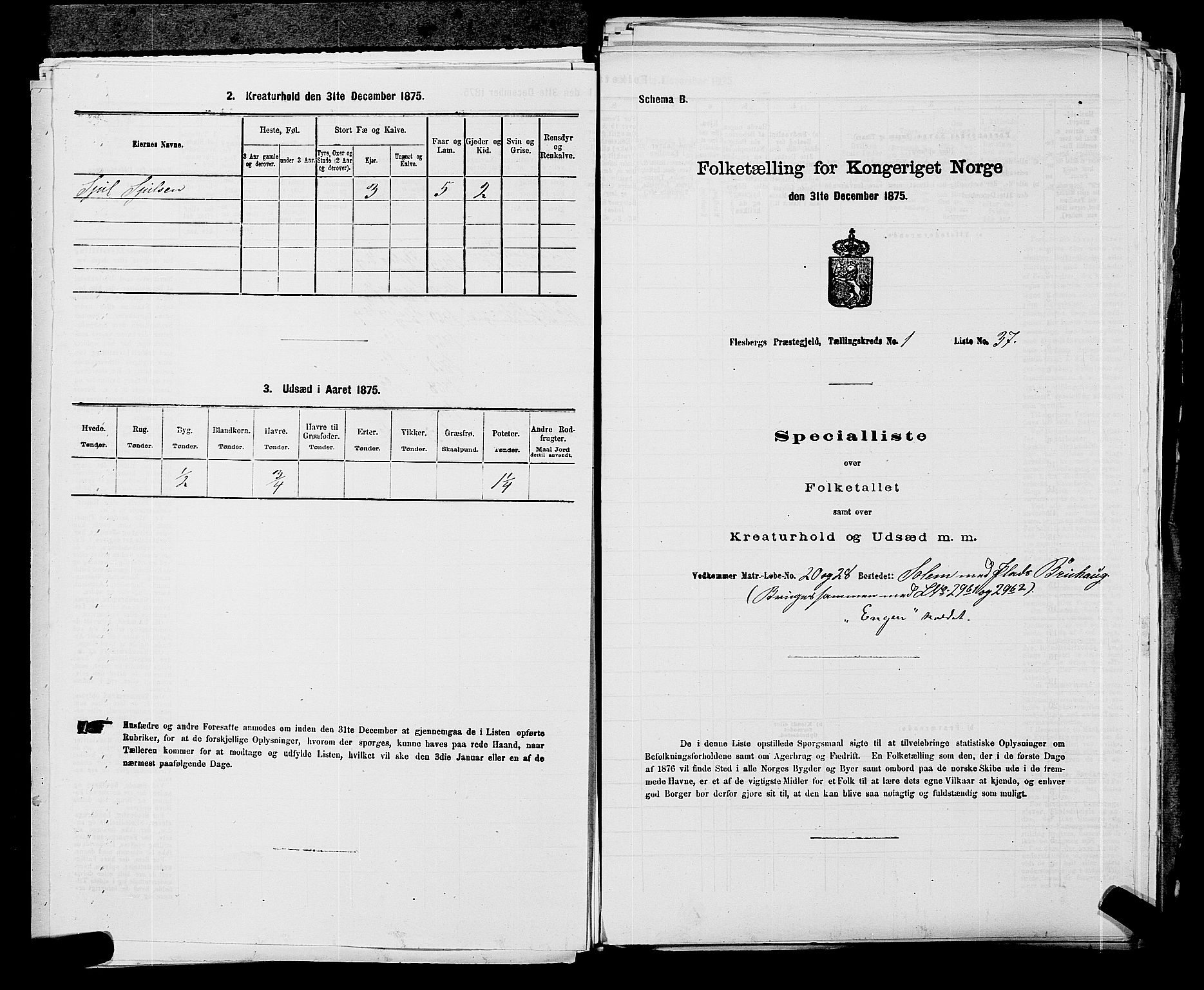 SAKO, 1875 census for 0631P Flesberg, 1875, p. 128