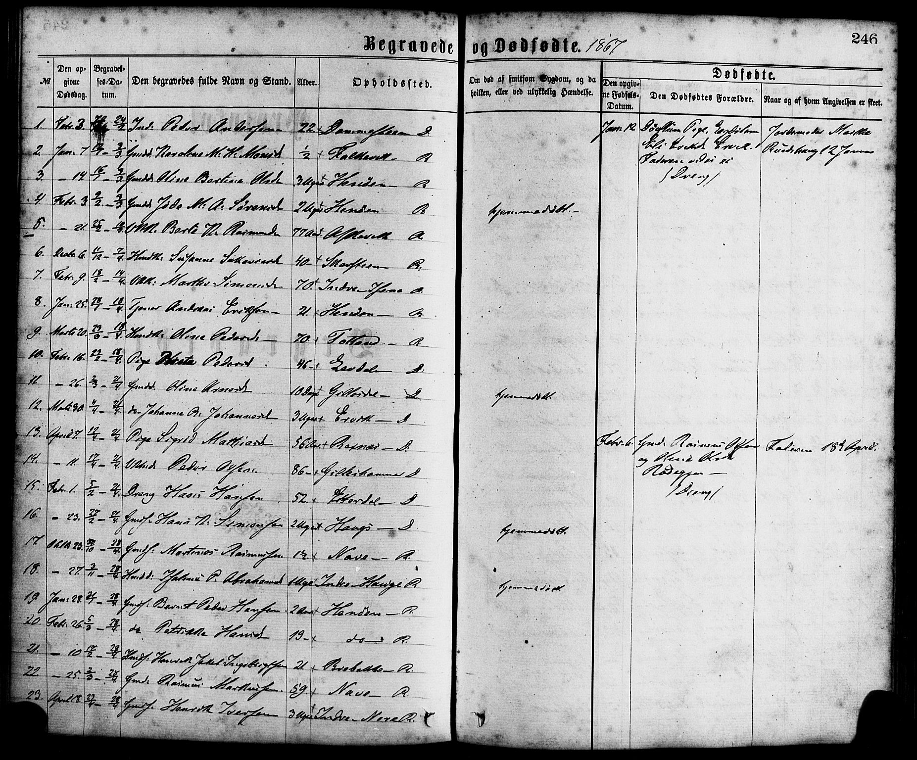 Davik sokneprestembete, AV/SAB-A-79701/H/Haa/Haaa/L0006: Parish register (official) no. A 6, 1867-1881, p. 246